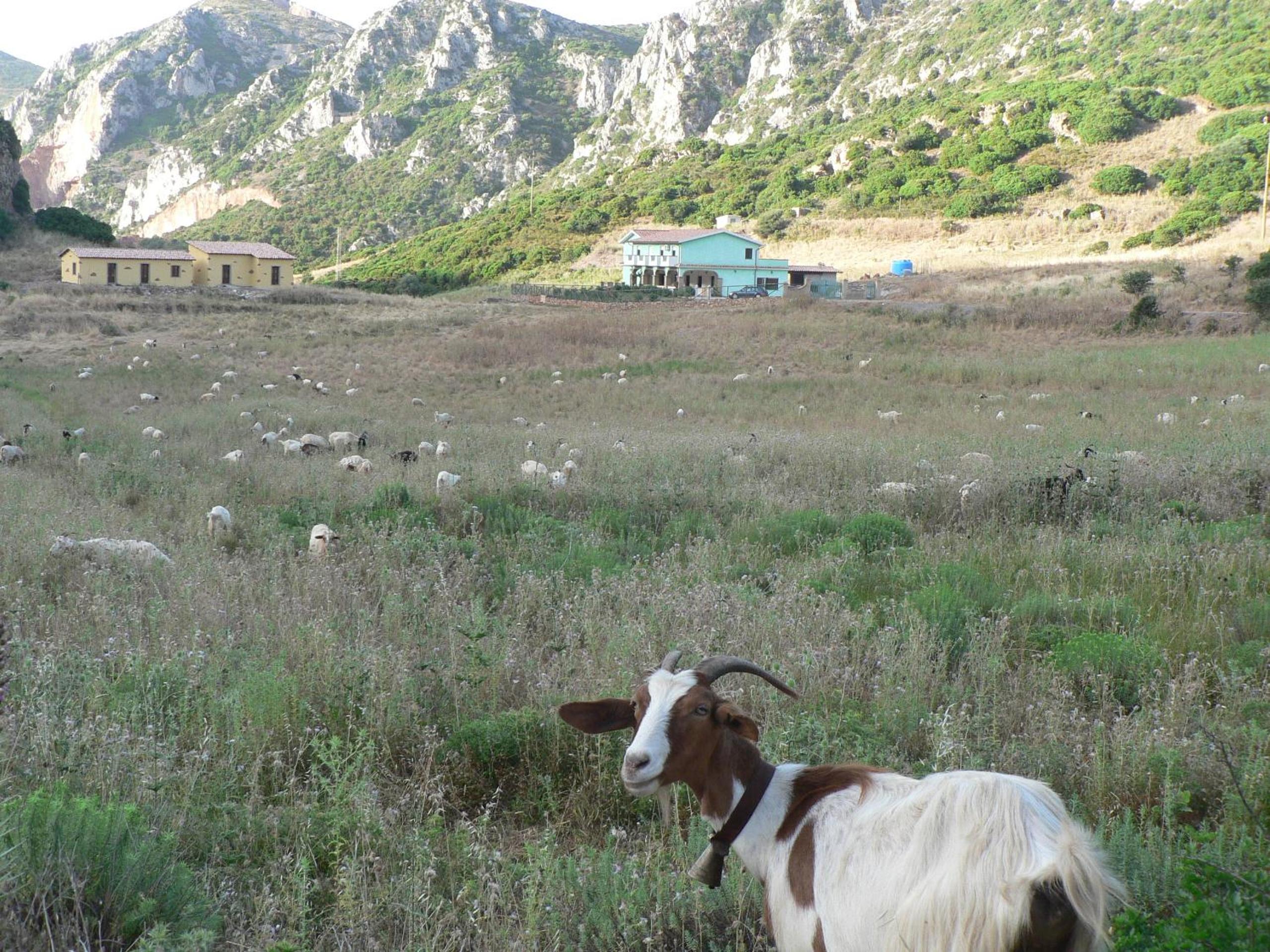 Agriturismo Sa Rocca