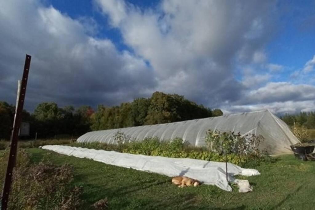 Country Cottage on 80 Acre Farm