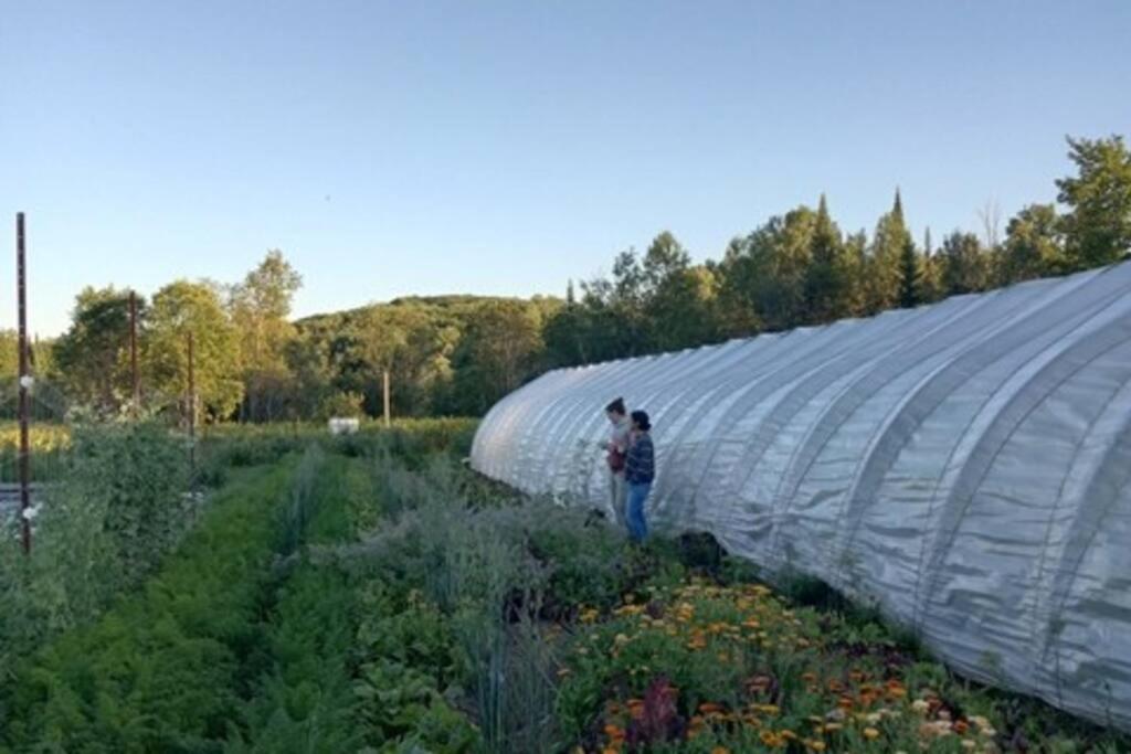 Country Cottage on 80 Acre Farm