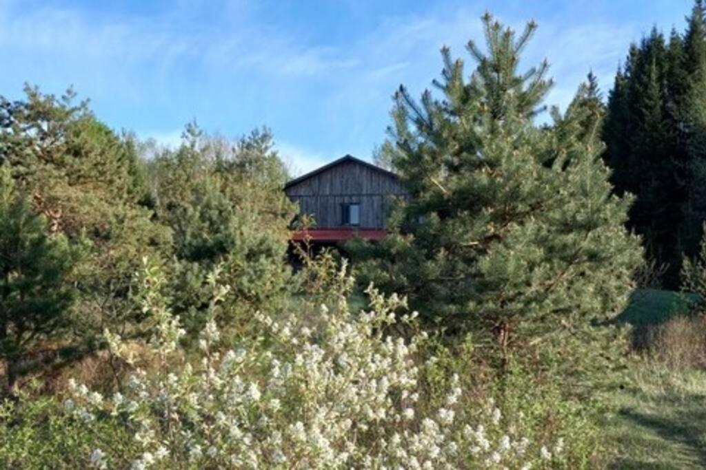 Country Cottage on 80 Acre Farm