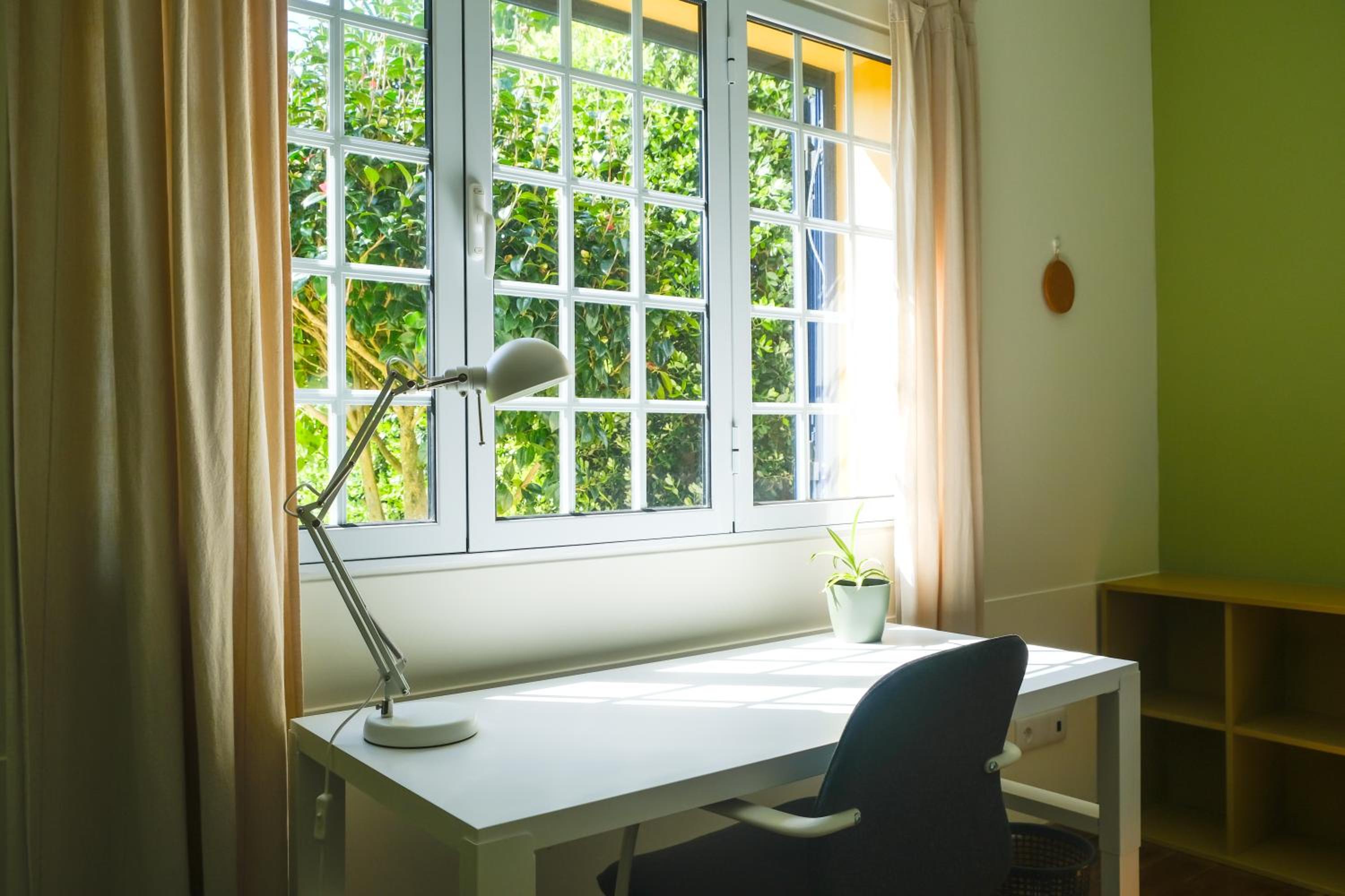 LAVA Açores Coliving