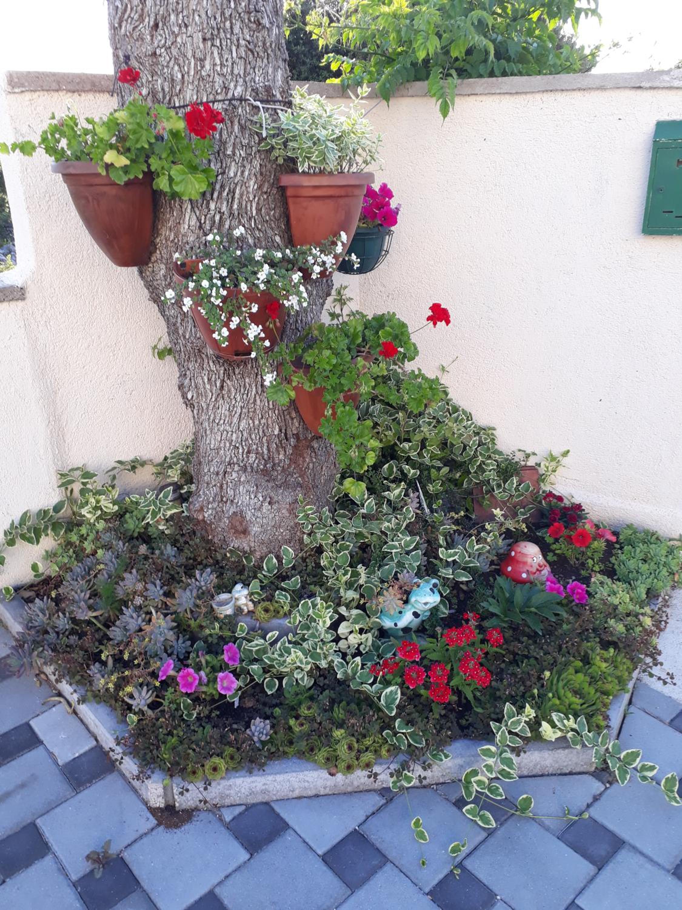 Apartmani Lučica