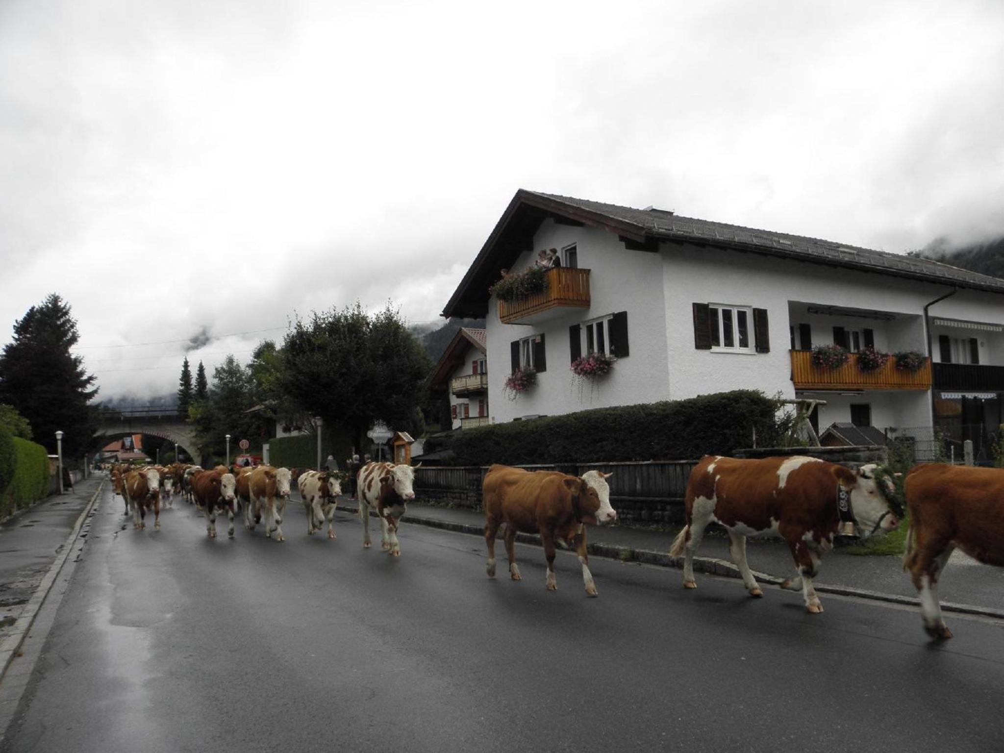 Ferienhaus Adelia
