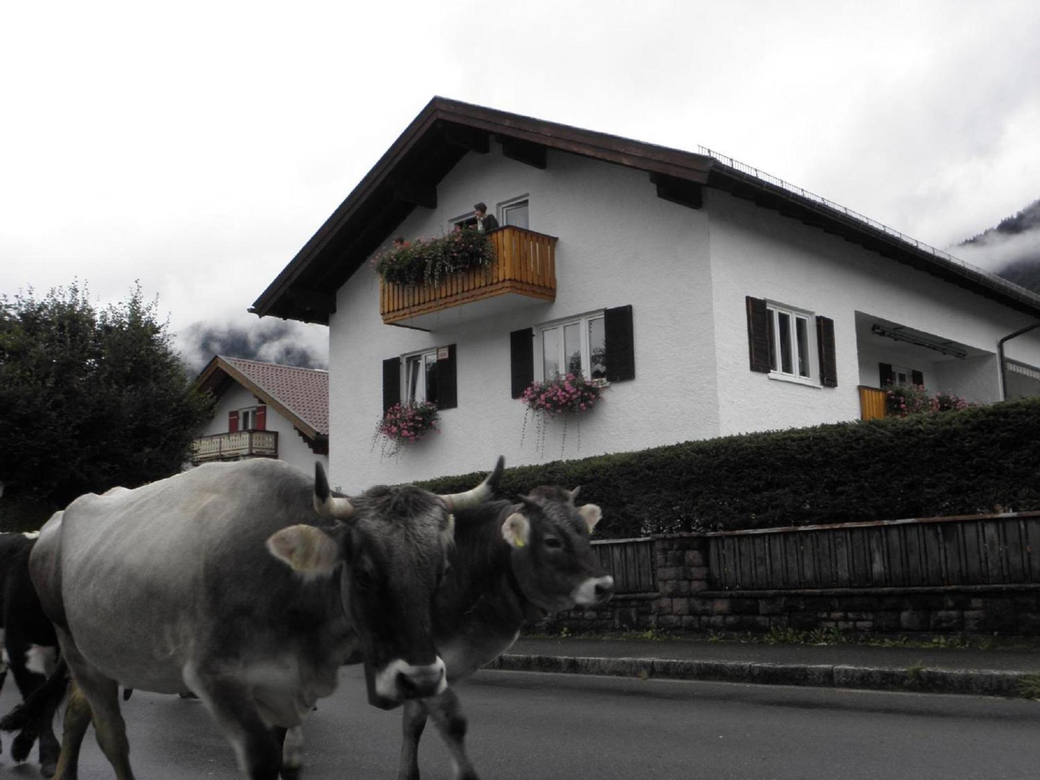 Ferienhaus Adelia