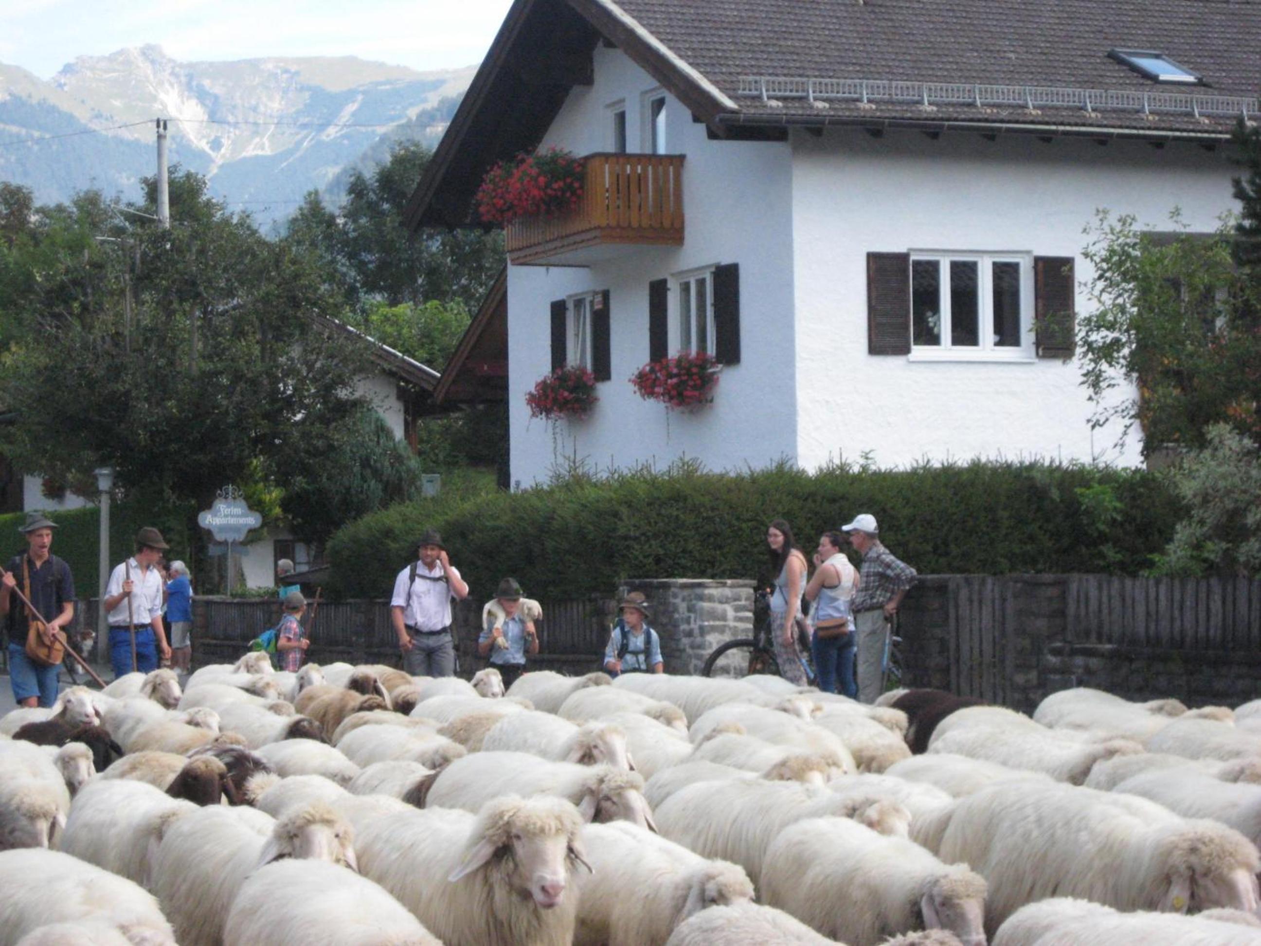 Ferienhaus Adelia