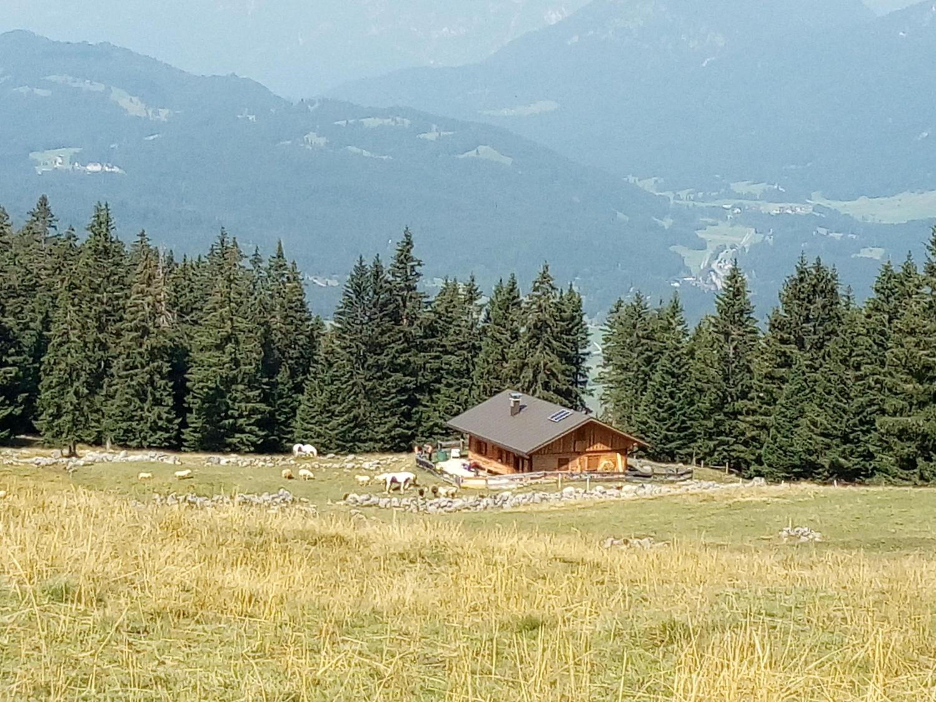 Ferienhaus Adelia
