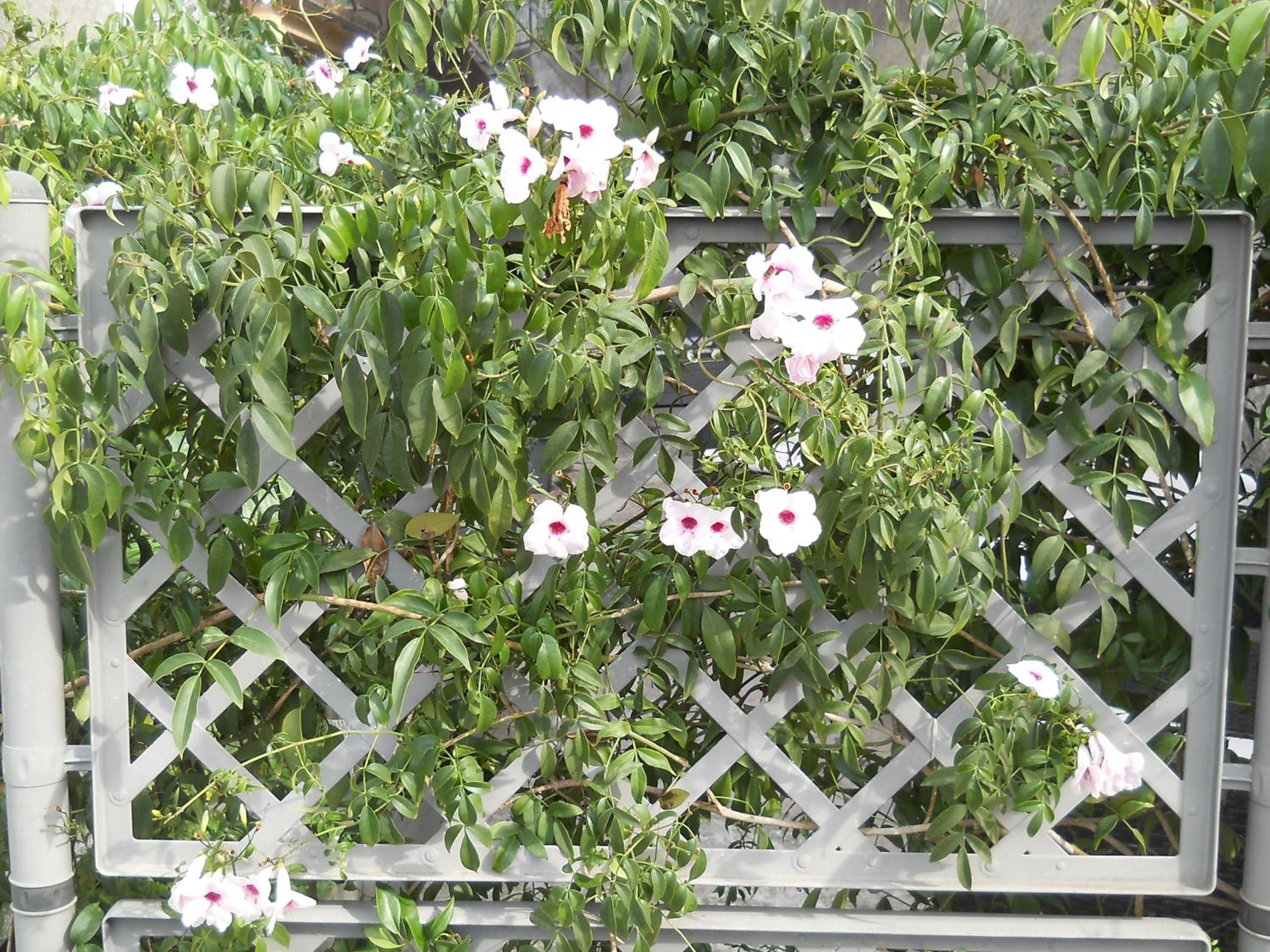 Photo 39