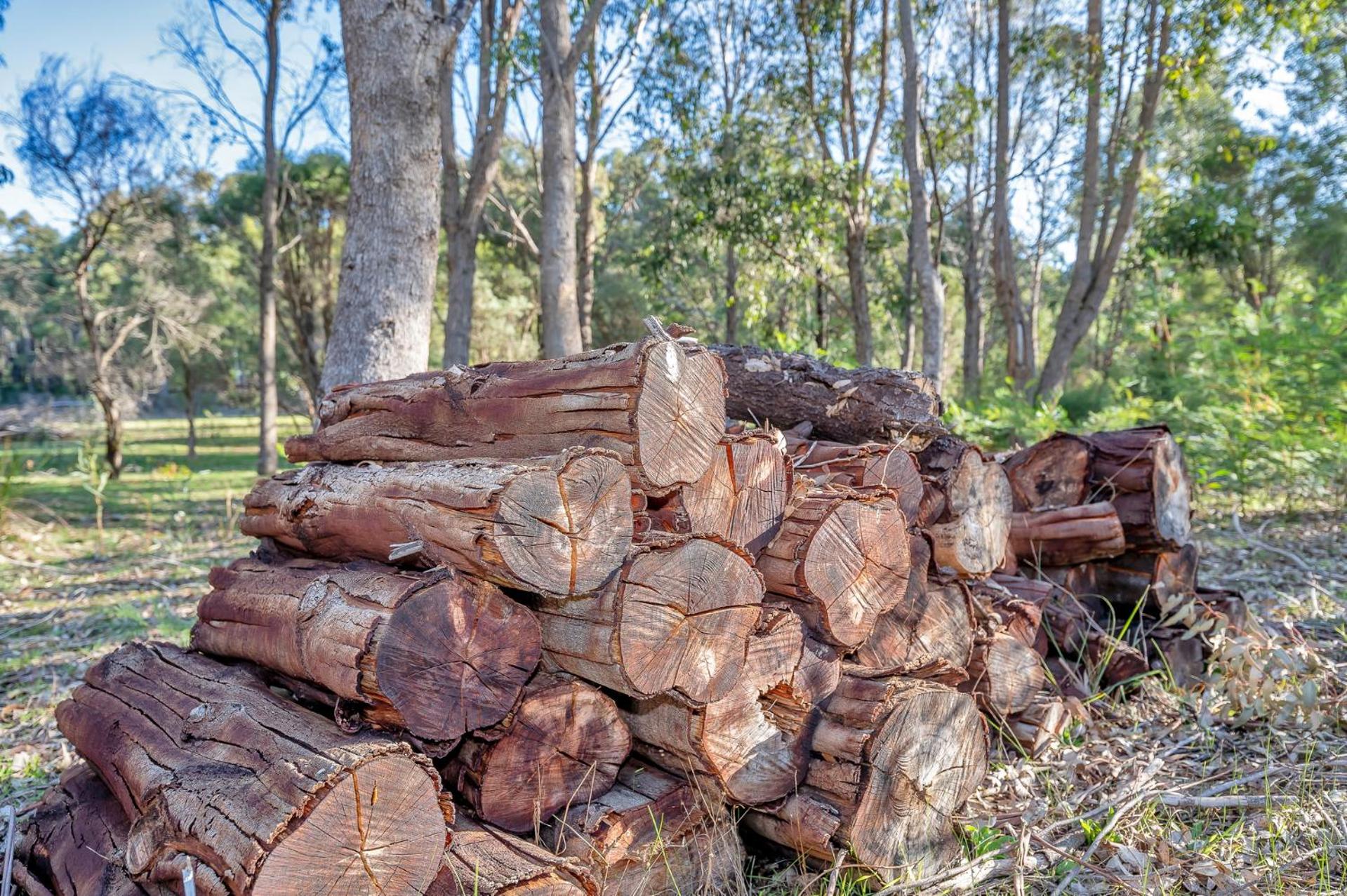 Forest Trails House, Dwellingup