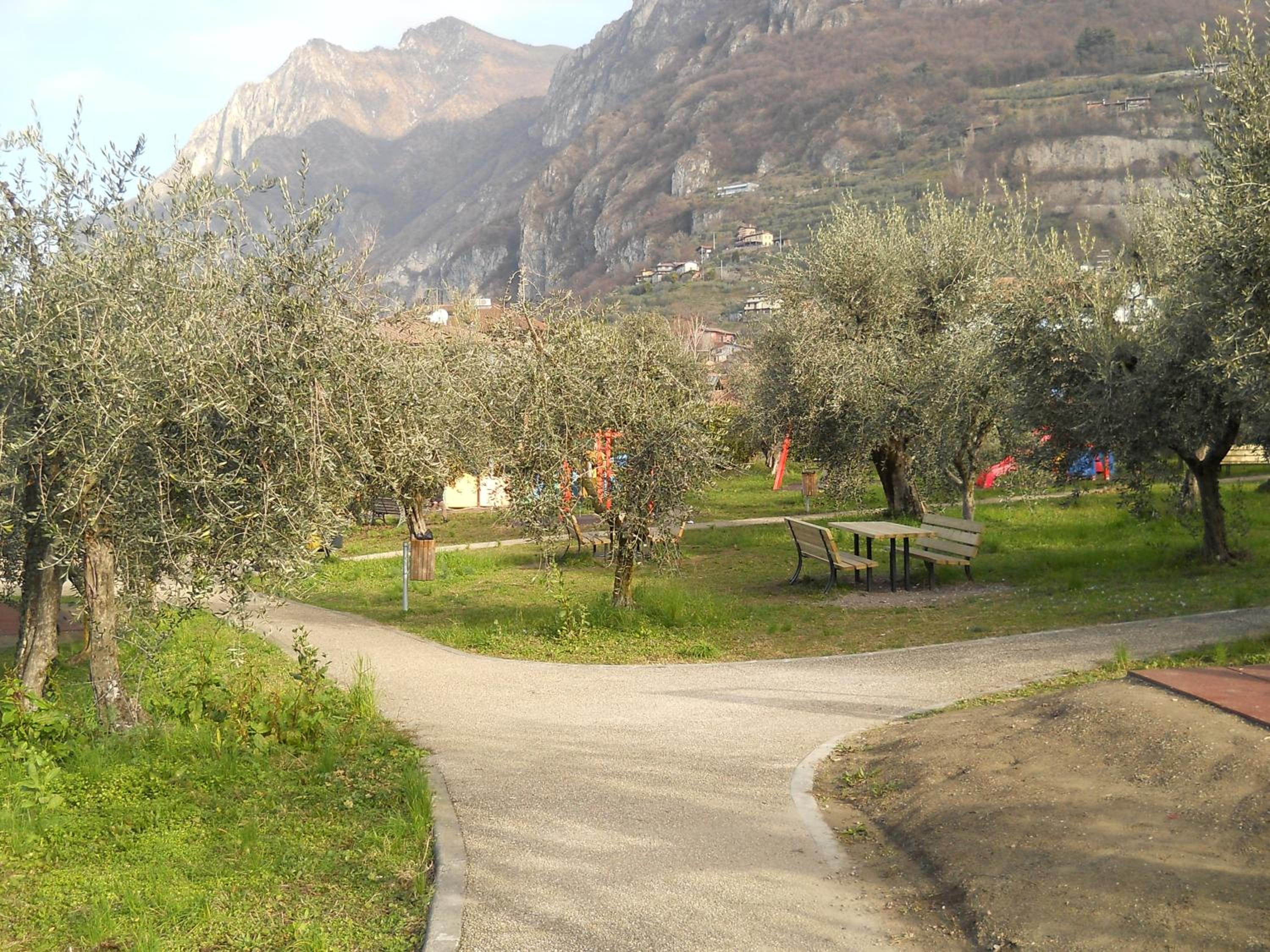 Photo 31