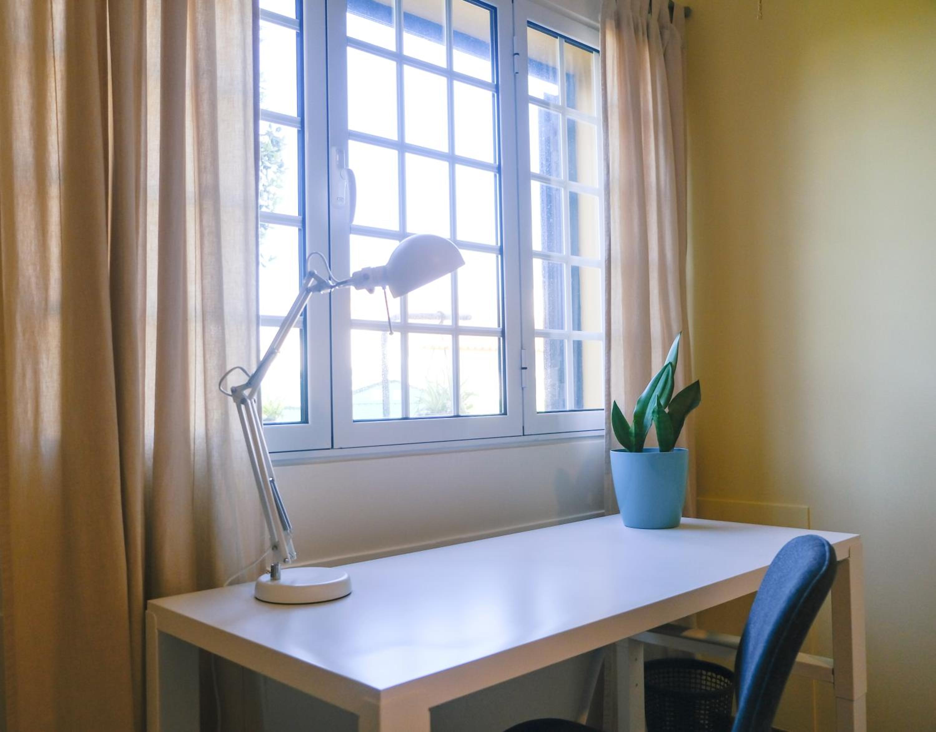 LAVA Açores Coliving