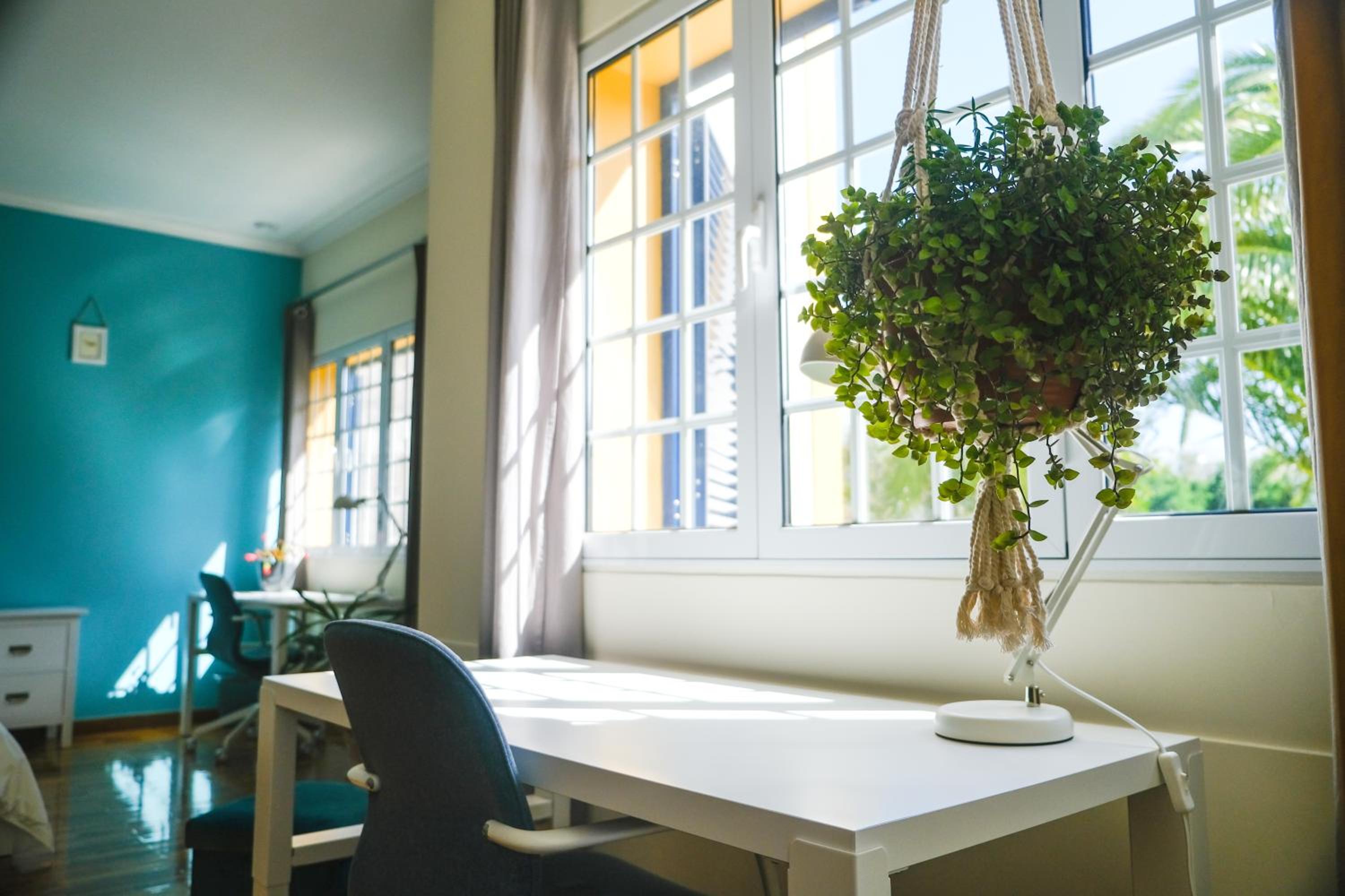 LAVA Açores Coliving