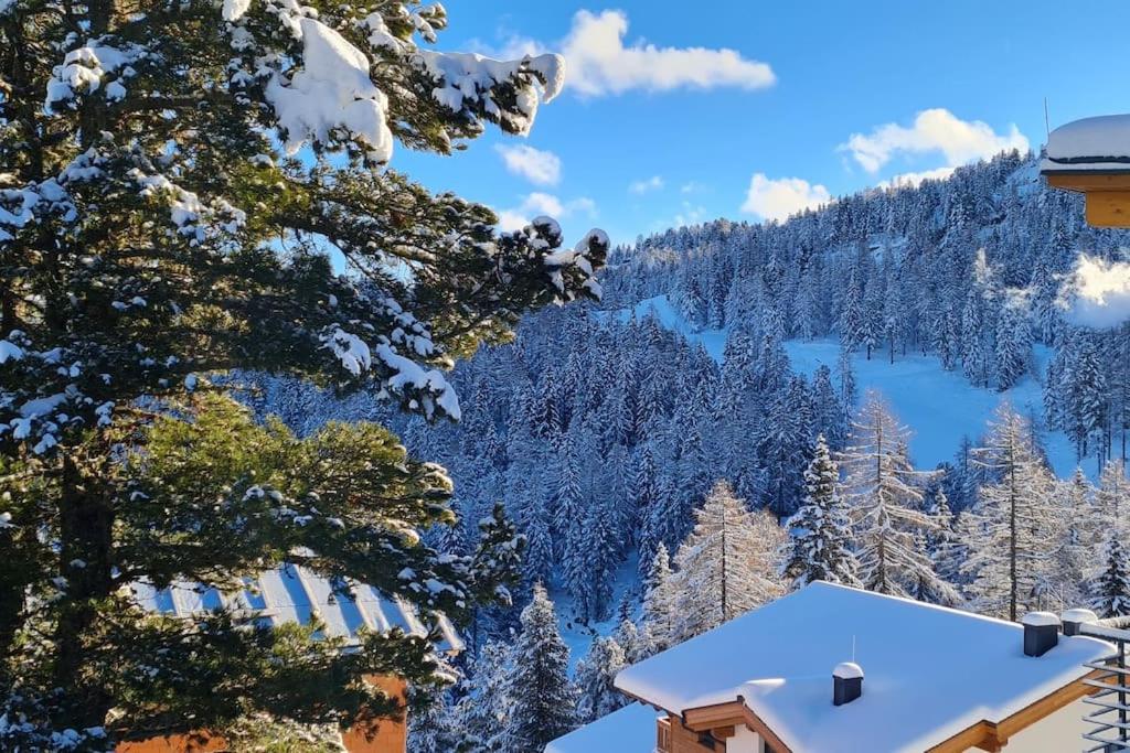 Idyllische Zirbenholz Alpin Huette
