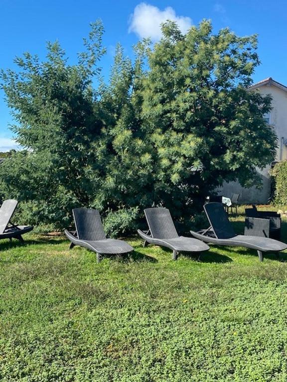 Comme une évidence gite et chambres d'hotes