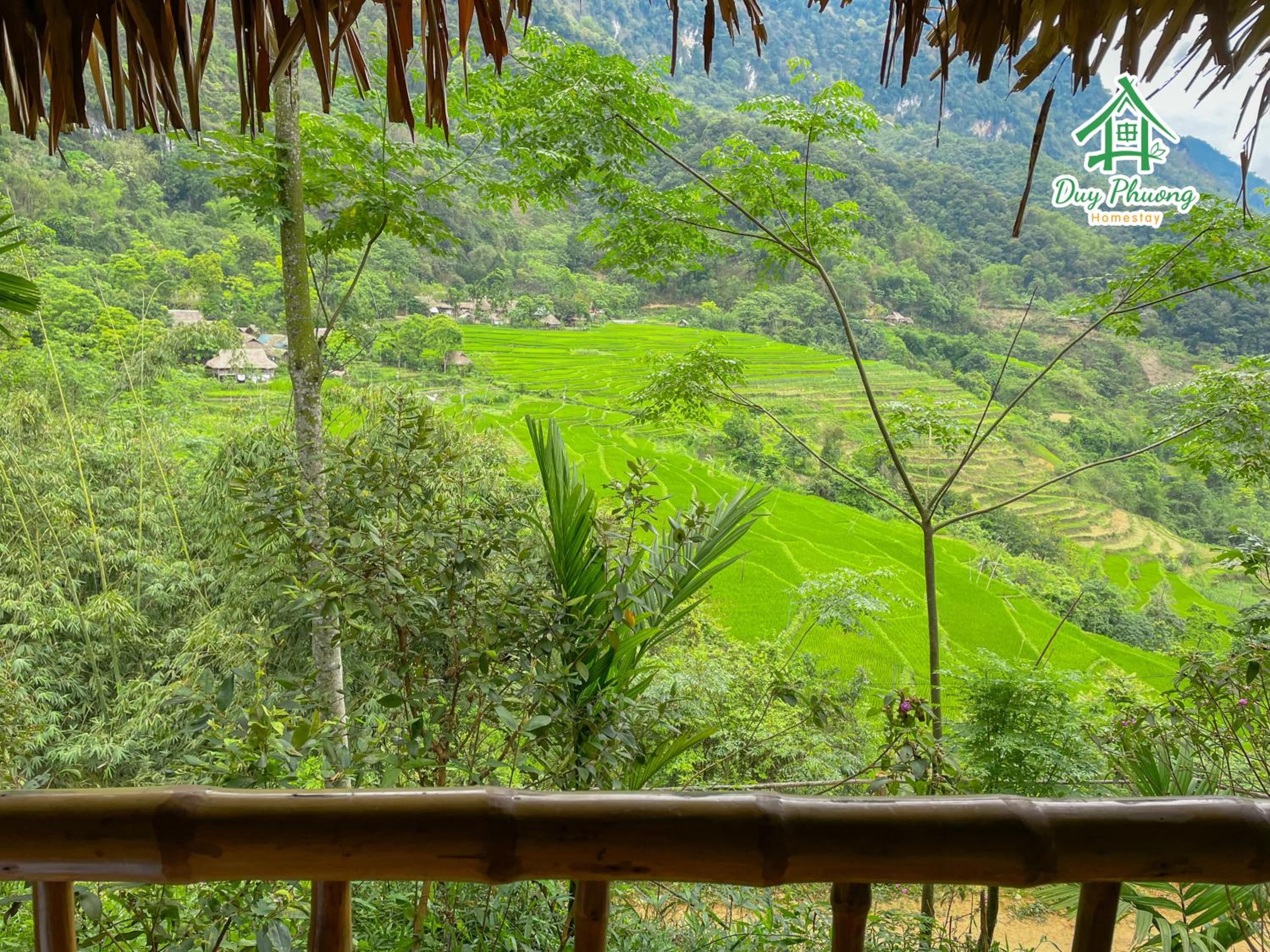 Pu Luong - Duy Phuong Homestay