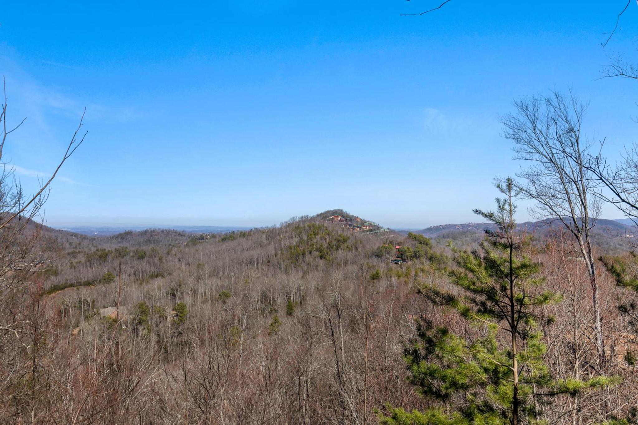 Huckleberry Ridge view 2
