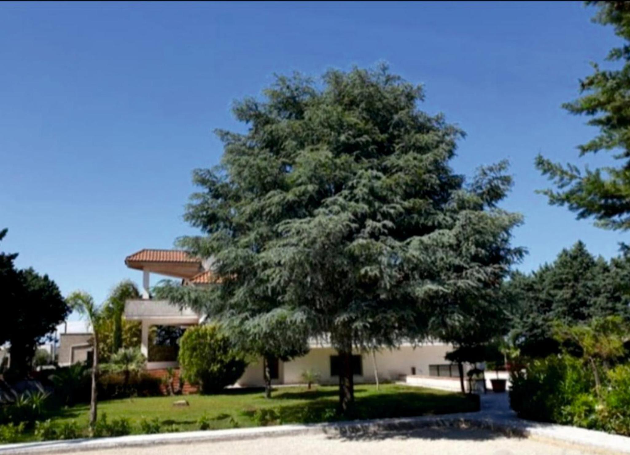 Giardini Saraceni