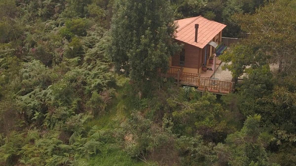 Hermoso alojamiento en una bella reserva natural de bosque alto andino en Tuta Boyacá