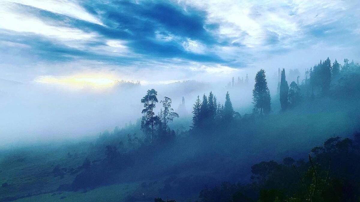 Hermoso alojamiento en una bella reserva natural de bosque alto andino en Tuta Boyacá