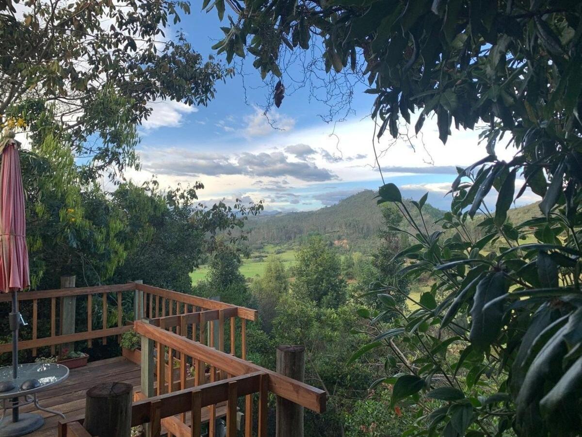Hermoso alojamiento en una bella reserva natural de bosque alto andino en Tuta Boyacá