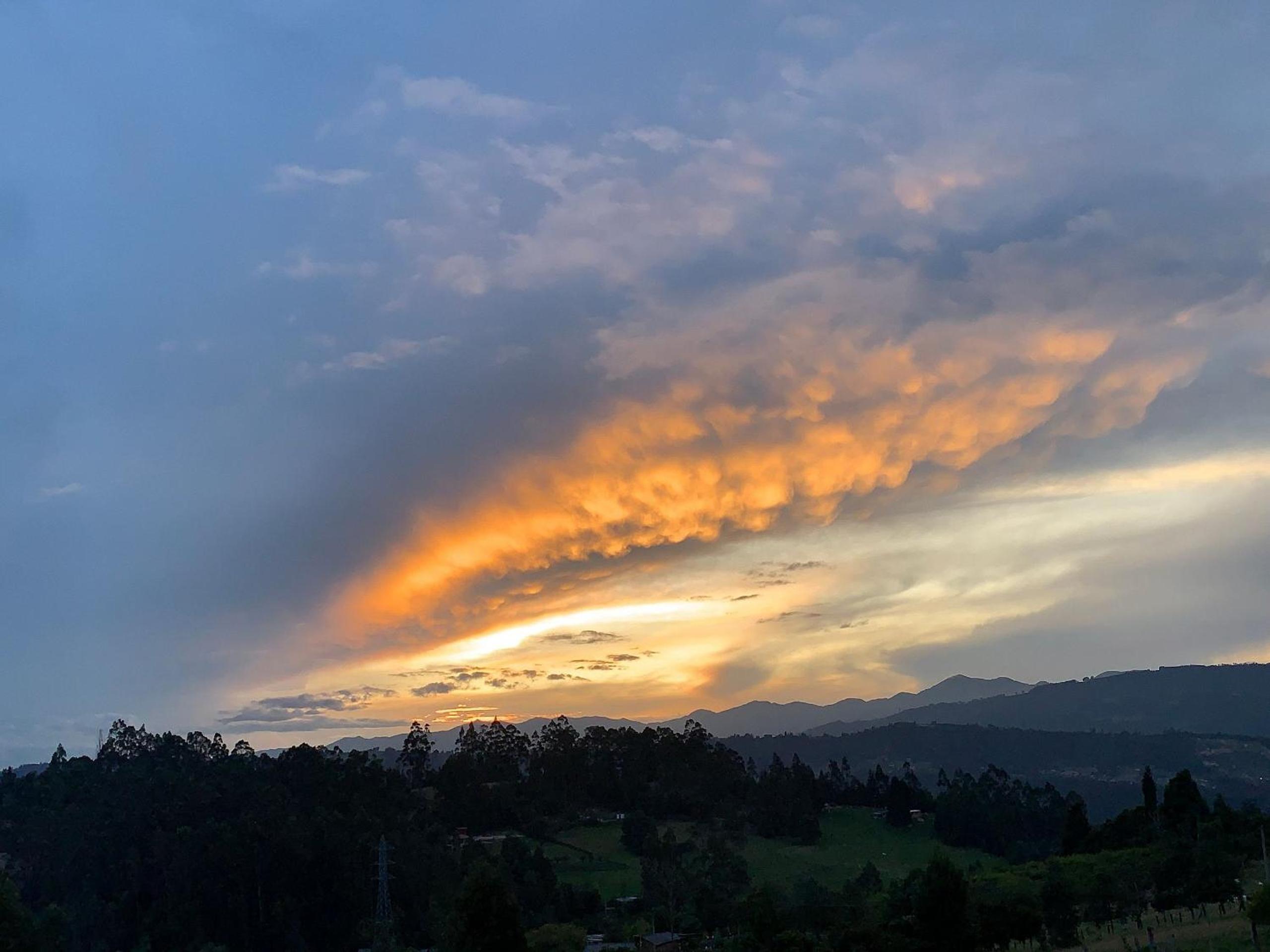 Hermoso alojamiento en una bella reserva natural de bosque alto andino en Tuta Boyacá