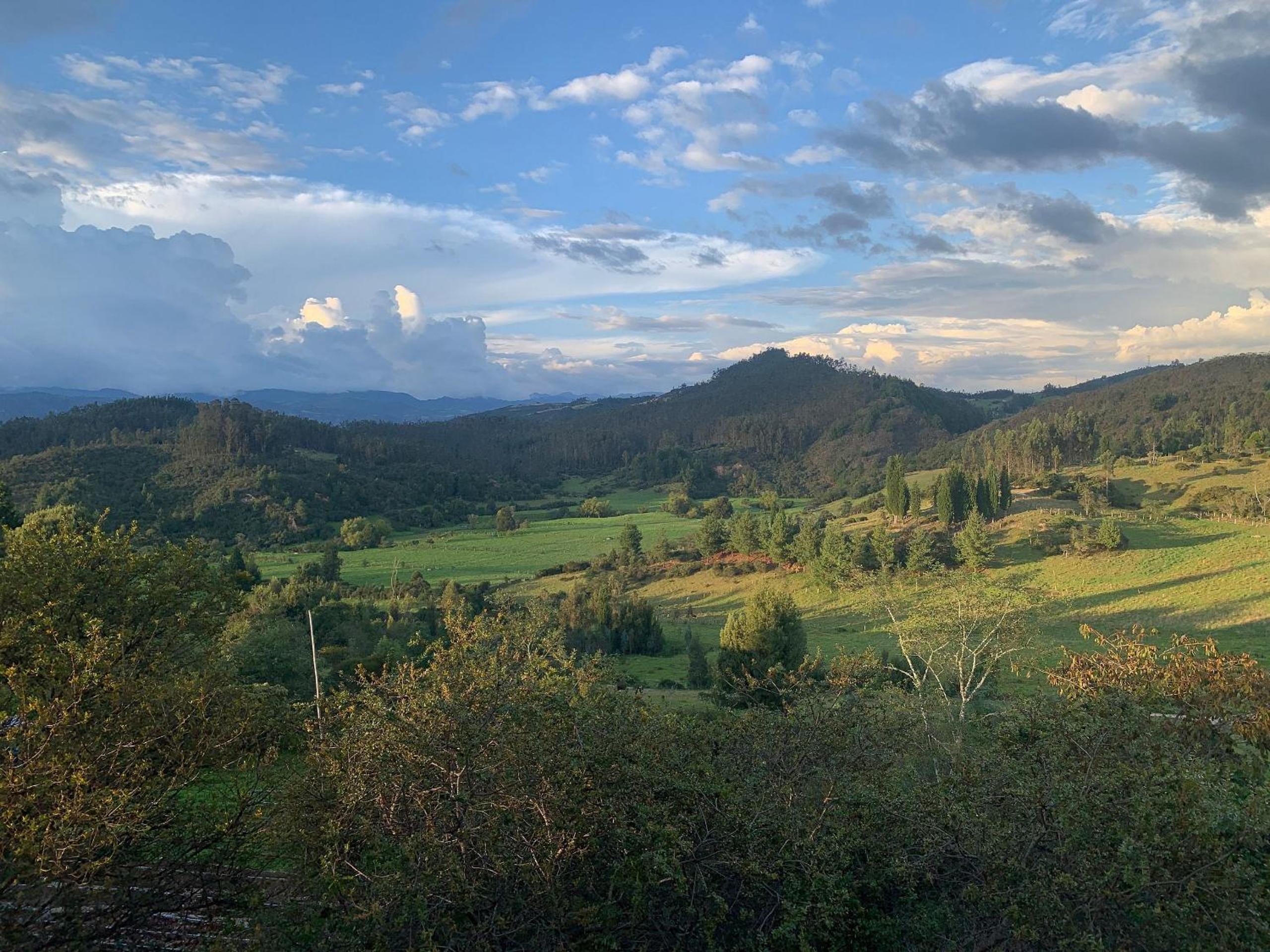 Hermoso alojamiento en una bella reserva natural de bosque alto andino en Tuta Boyacá