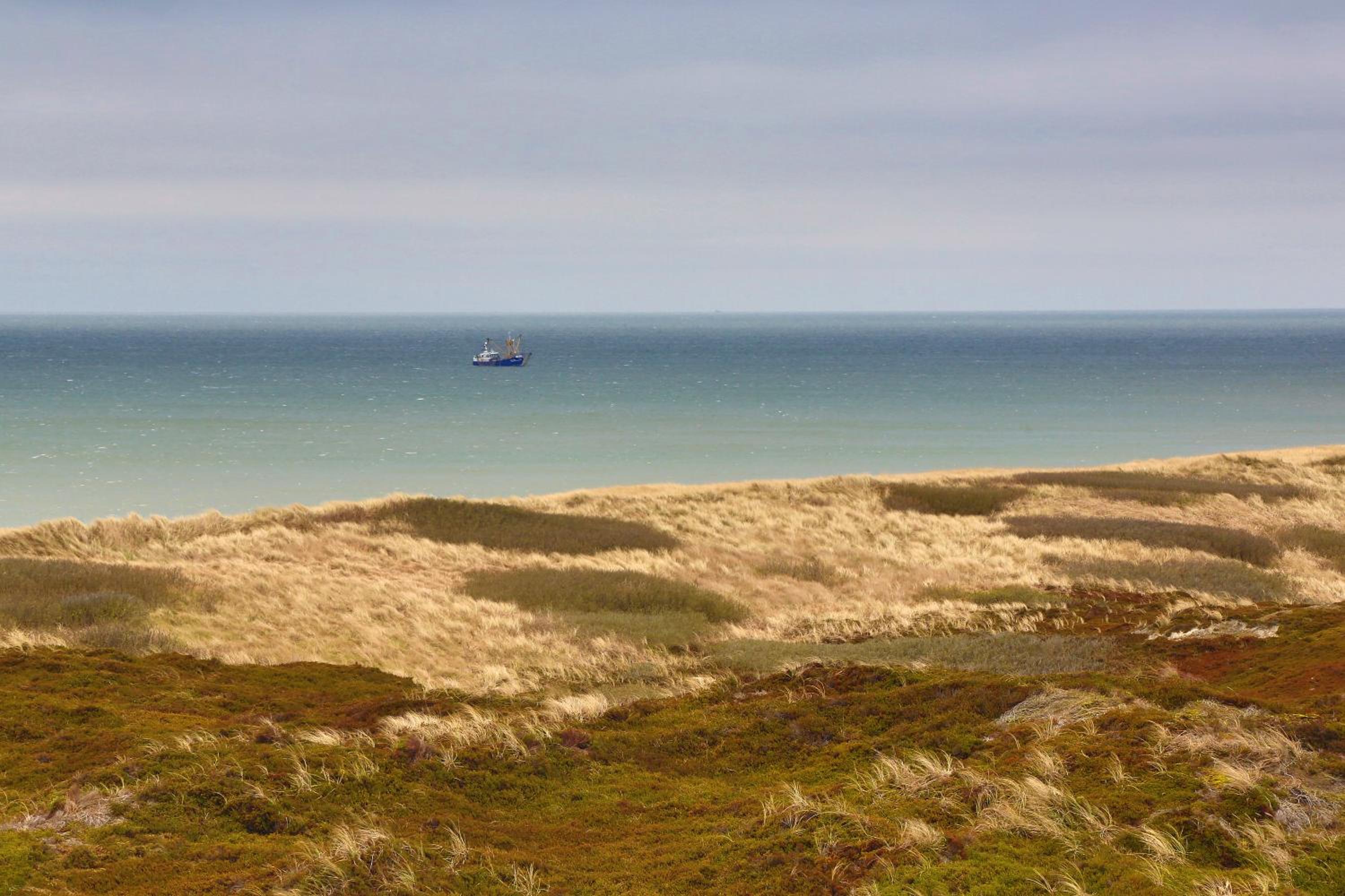 Photo 42