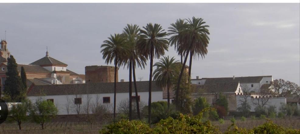 Apartamento Turístico Damajuana Parking Free