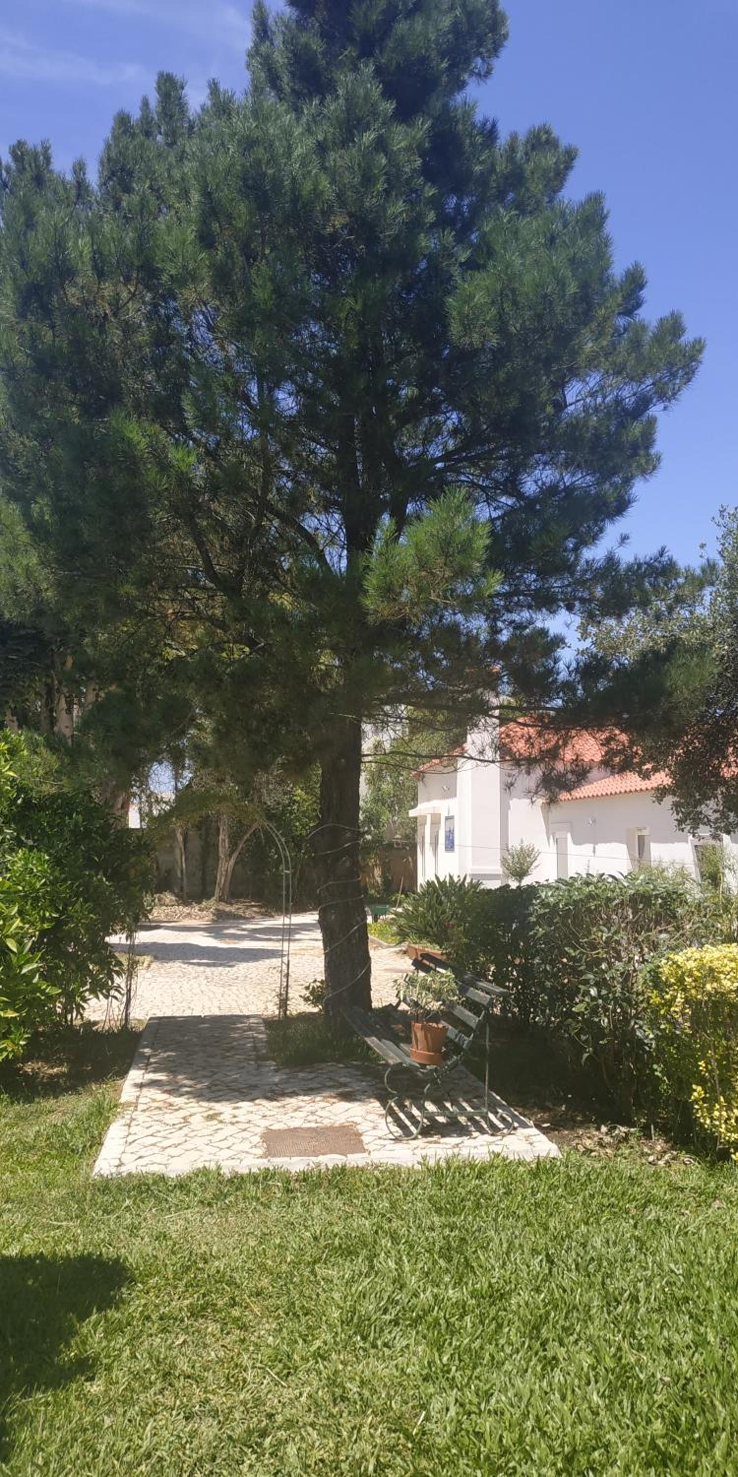 Casa de Arcos