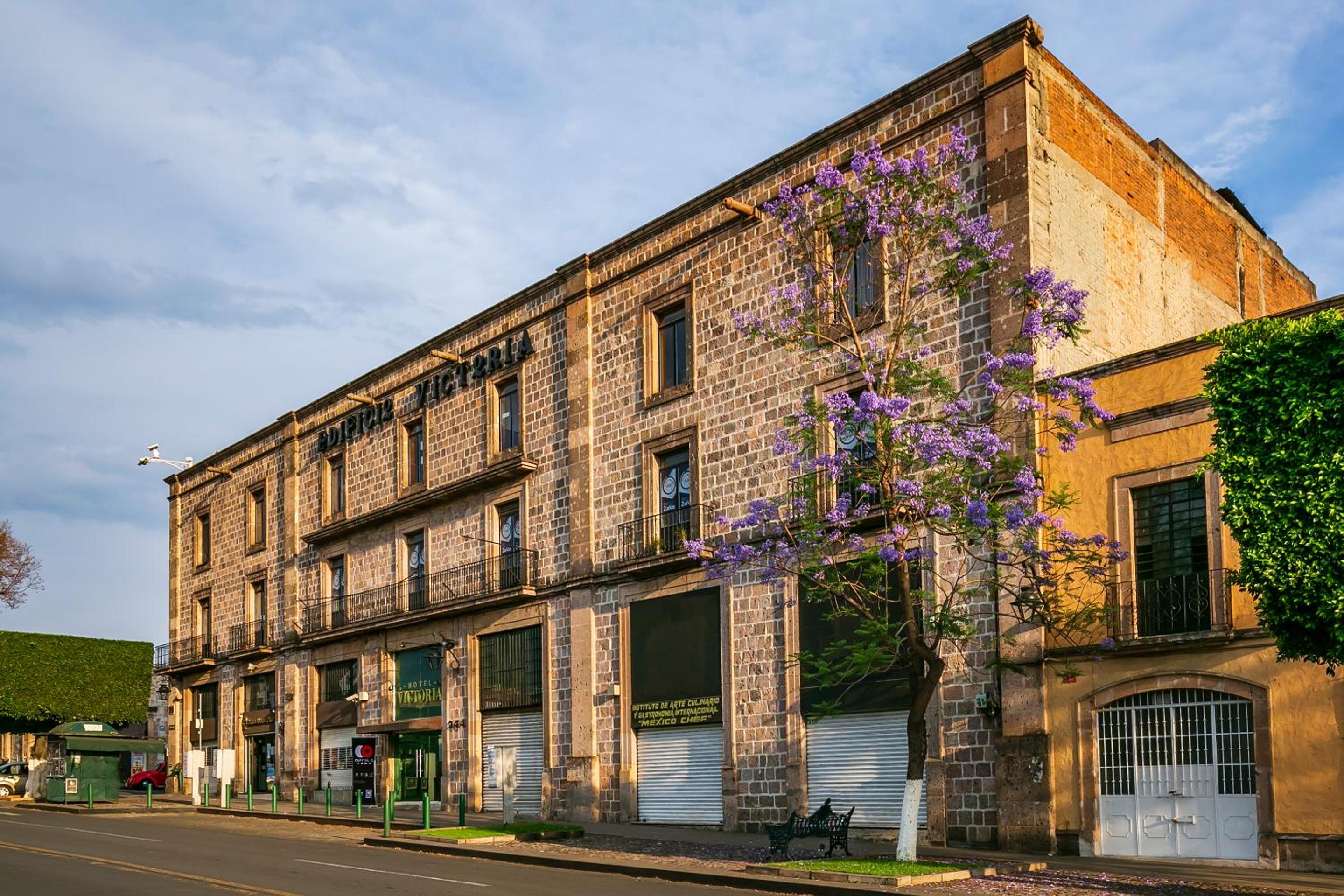 Capital O Hotel Victoria Morelia - Property Image 3