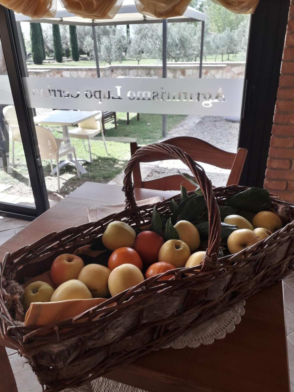 Agriturismo Lupo Cerrino