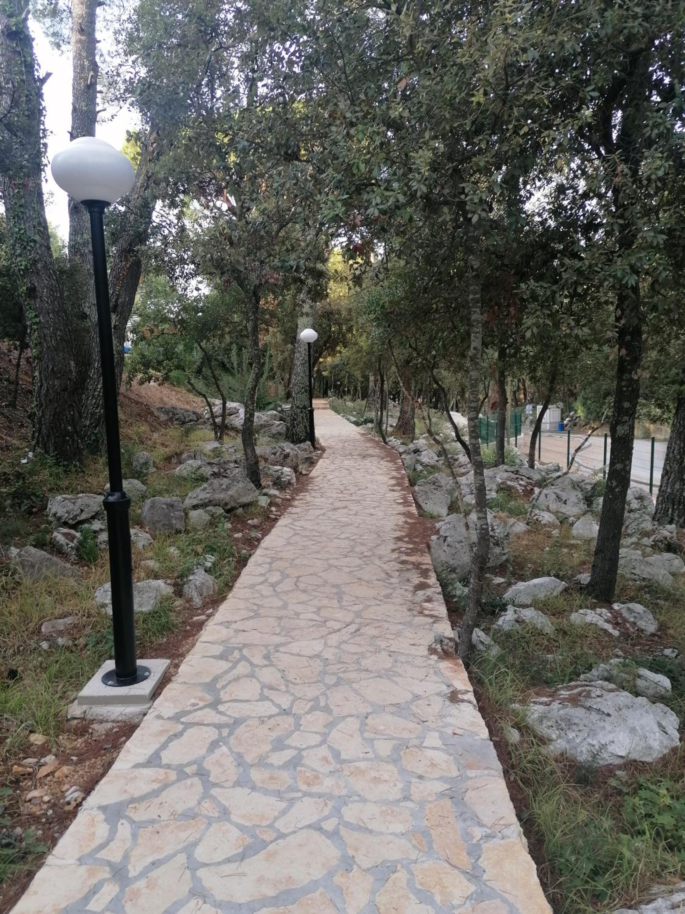 Photo 21