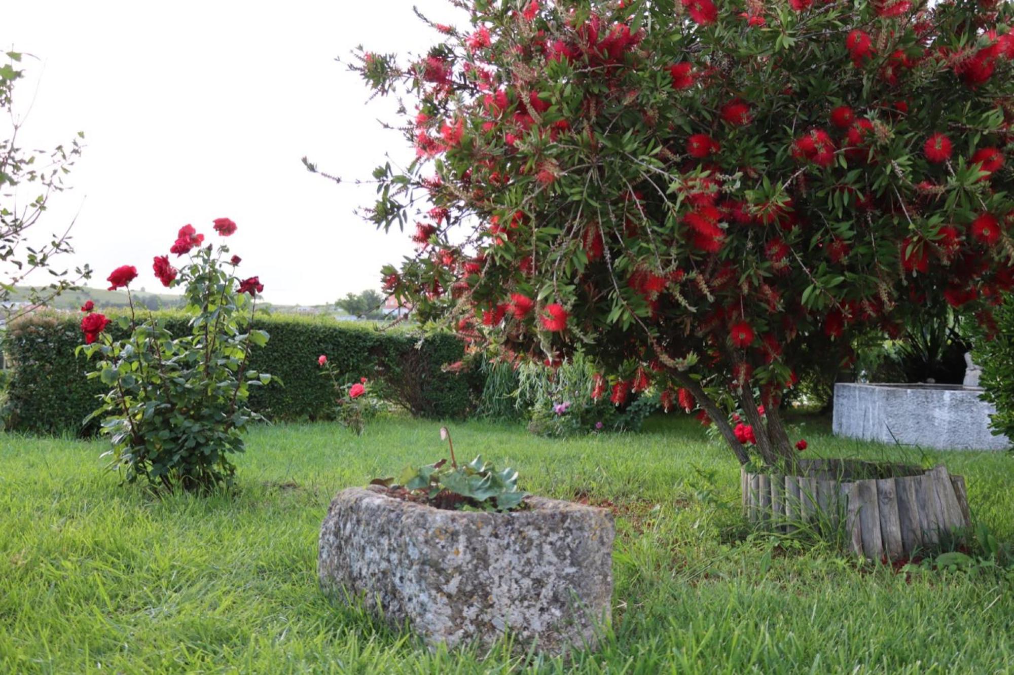 Photo 28