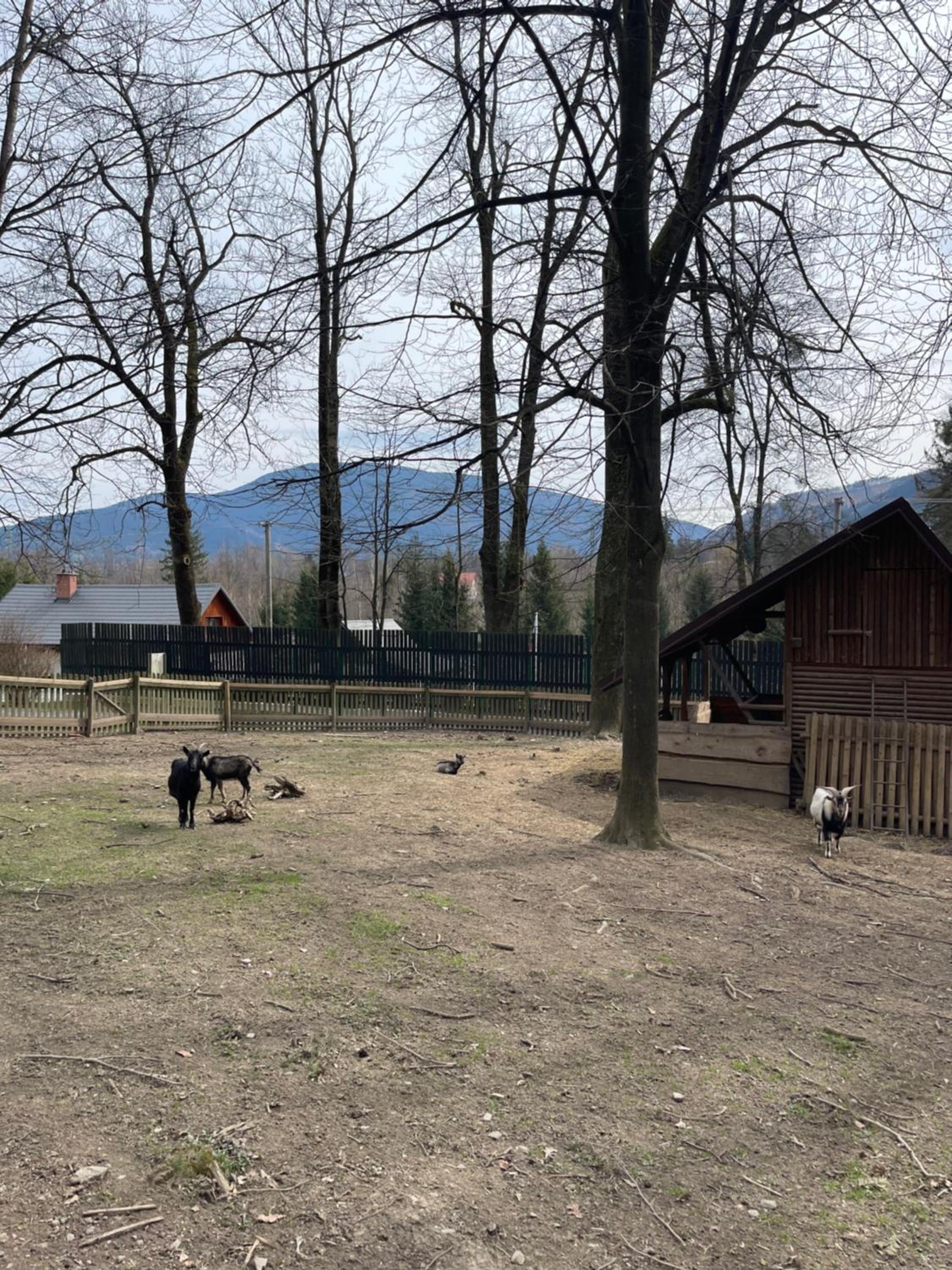 Apartmán Tera