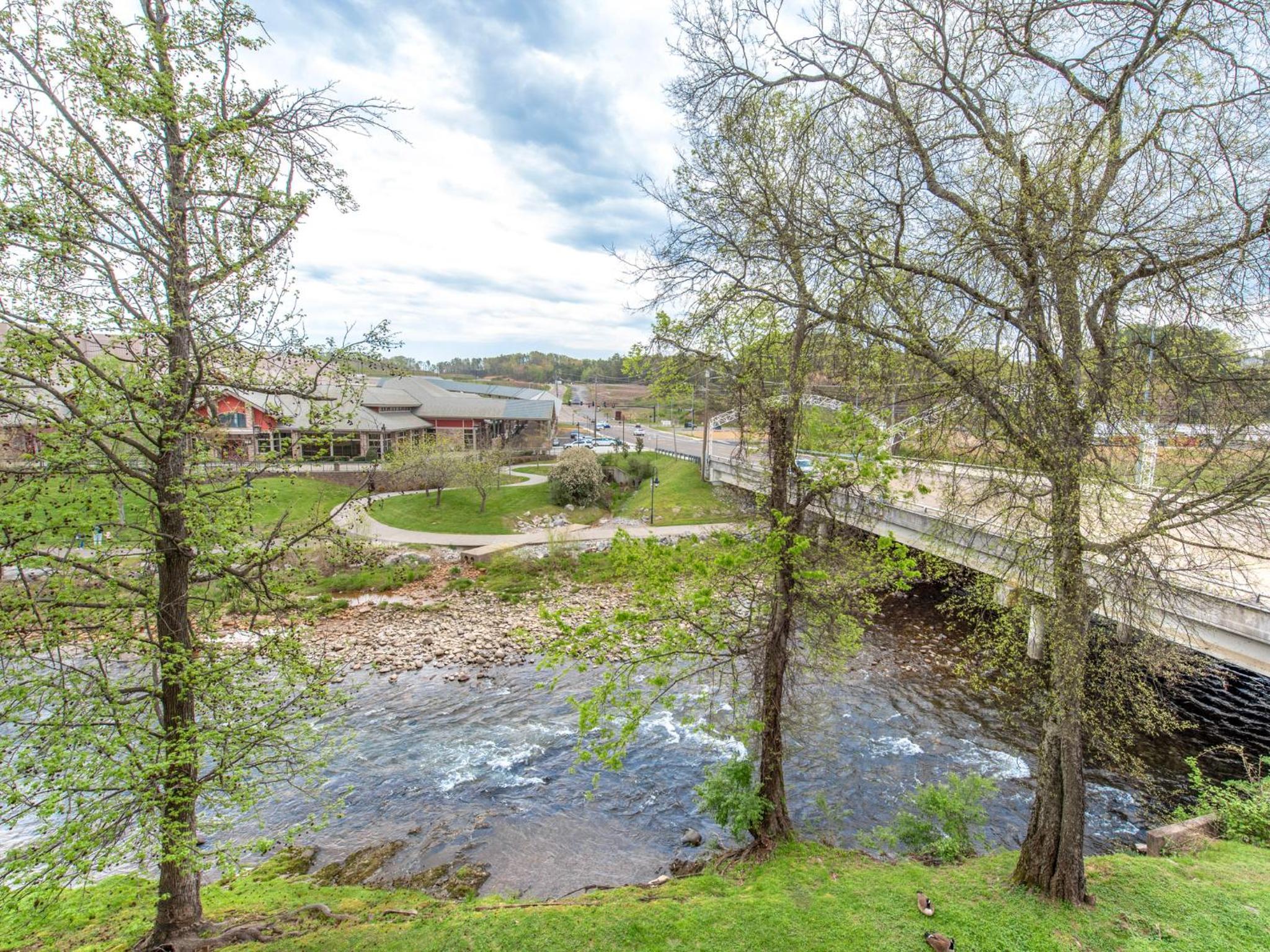 River Sounds Bear Crossing 204 view 4