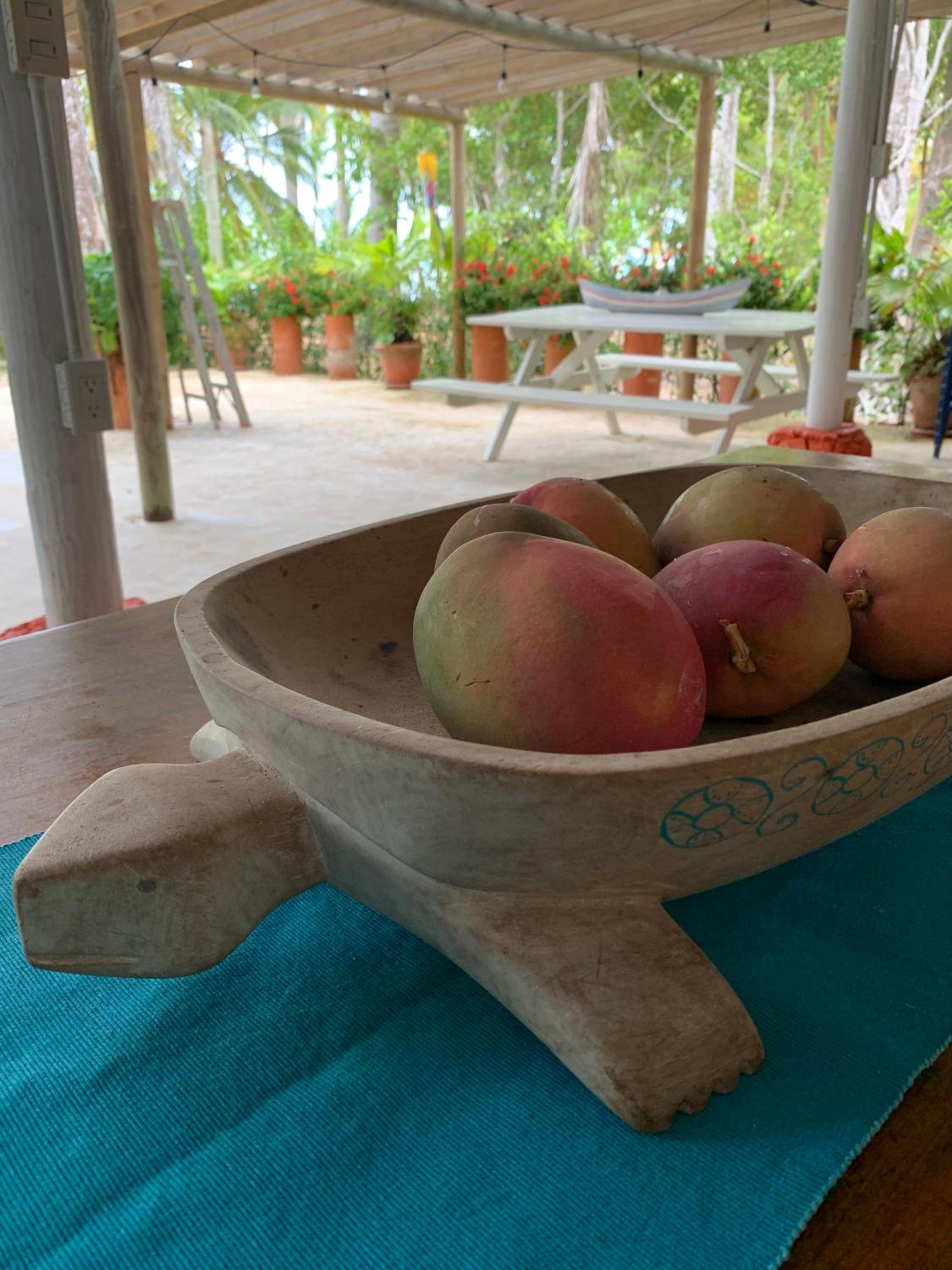 Casita Caribe en reserva natural, playa privada, kayaks, wifi, aire acondicionado