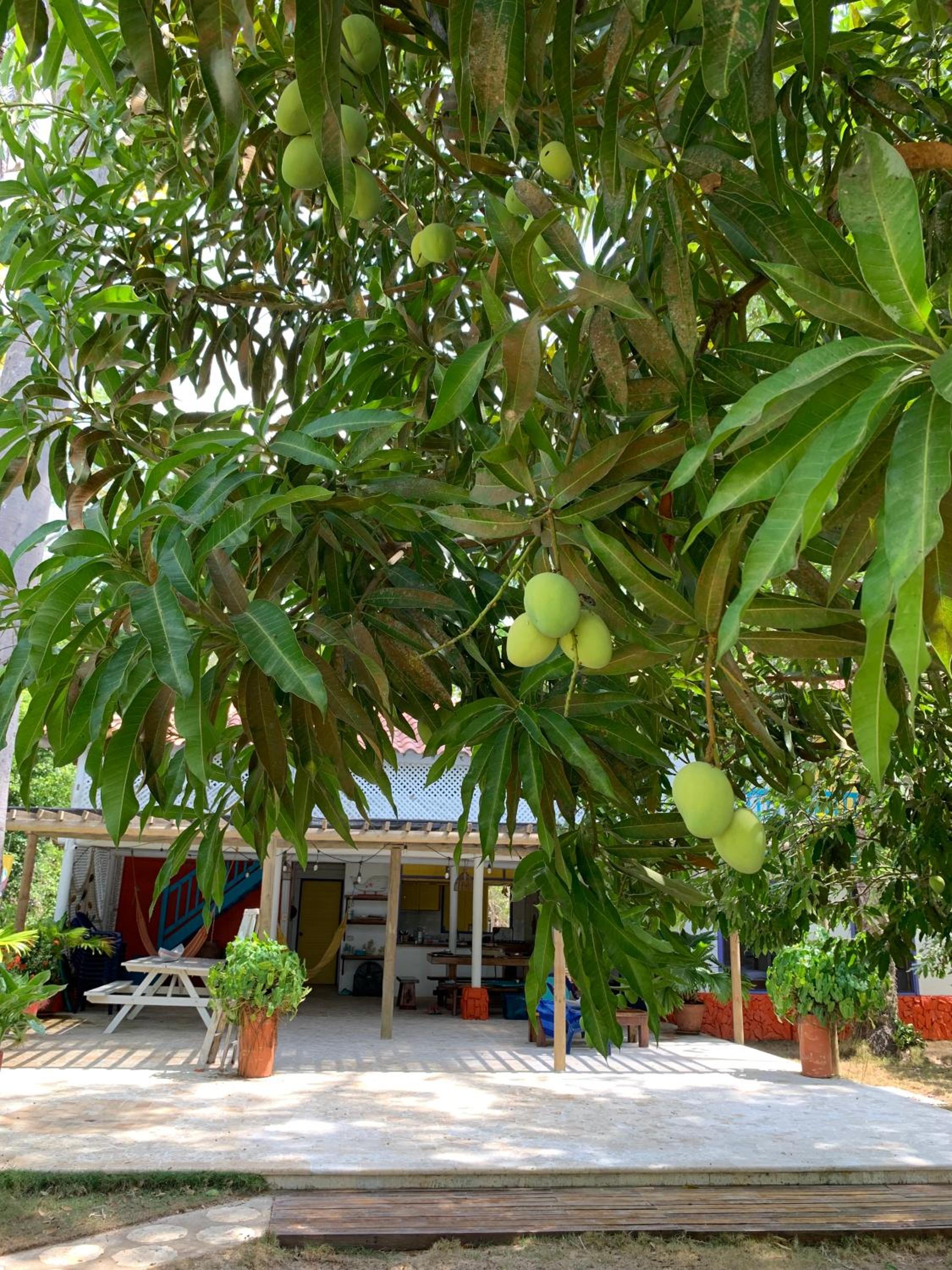 Casita Caribe en reserva natural, playa privada, kayaks, wifi, aire acondicionado
