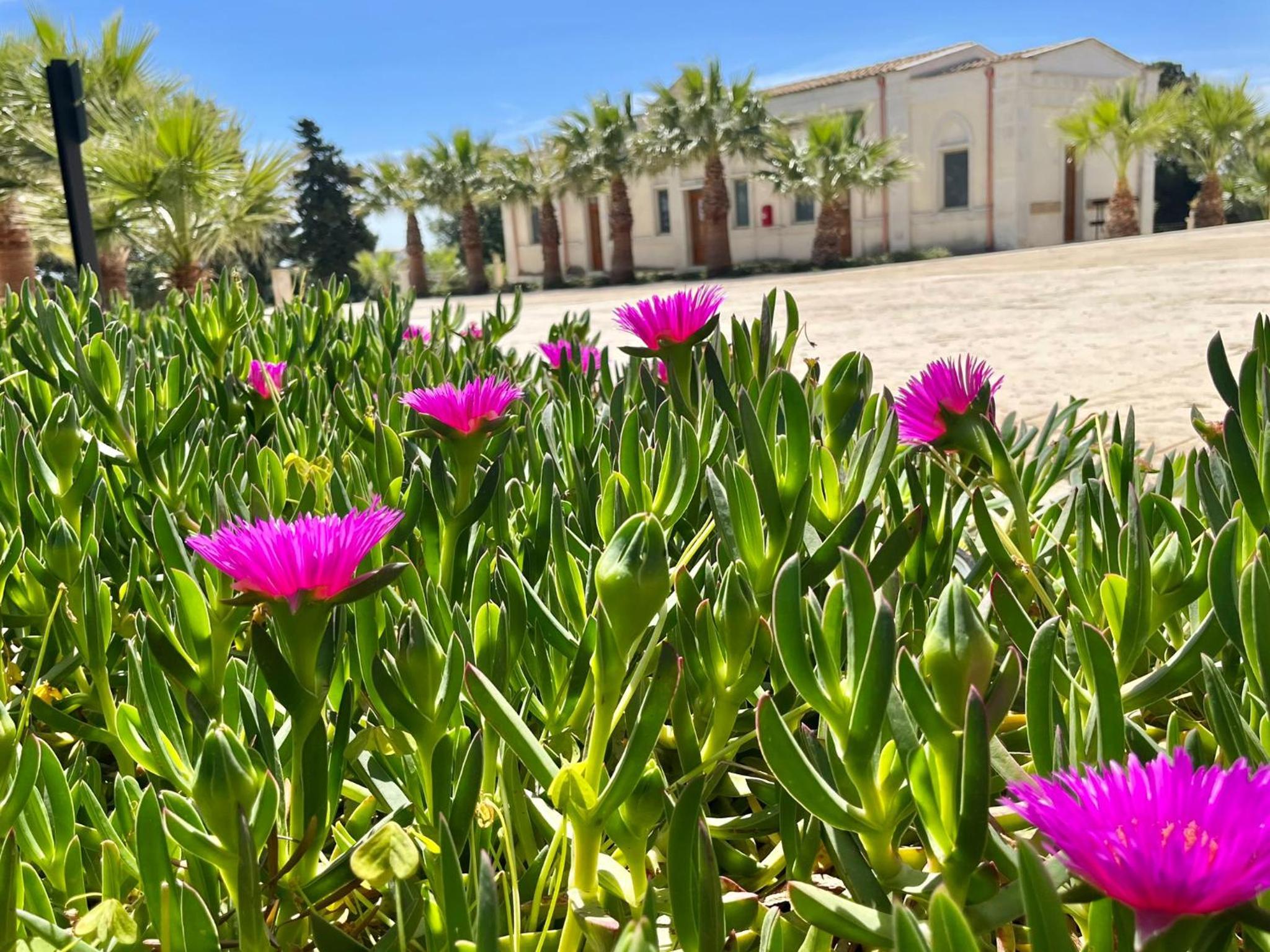 Borgo Vita Novella Resort photo 3