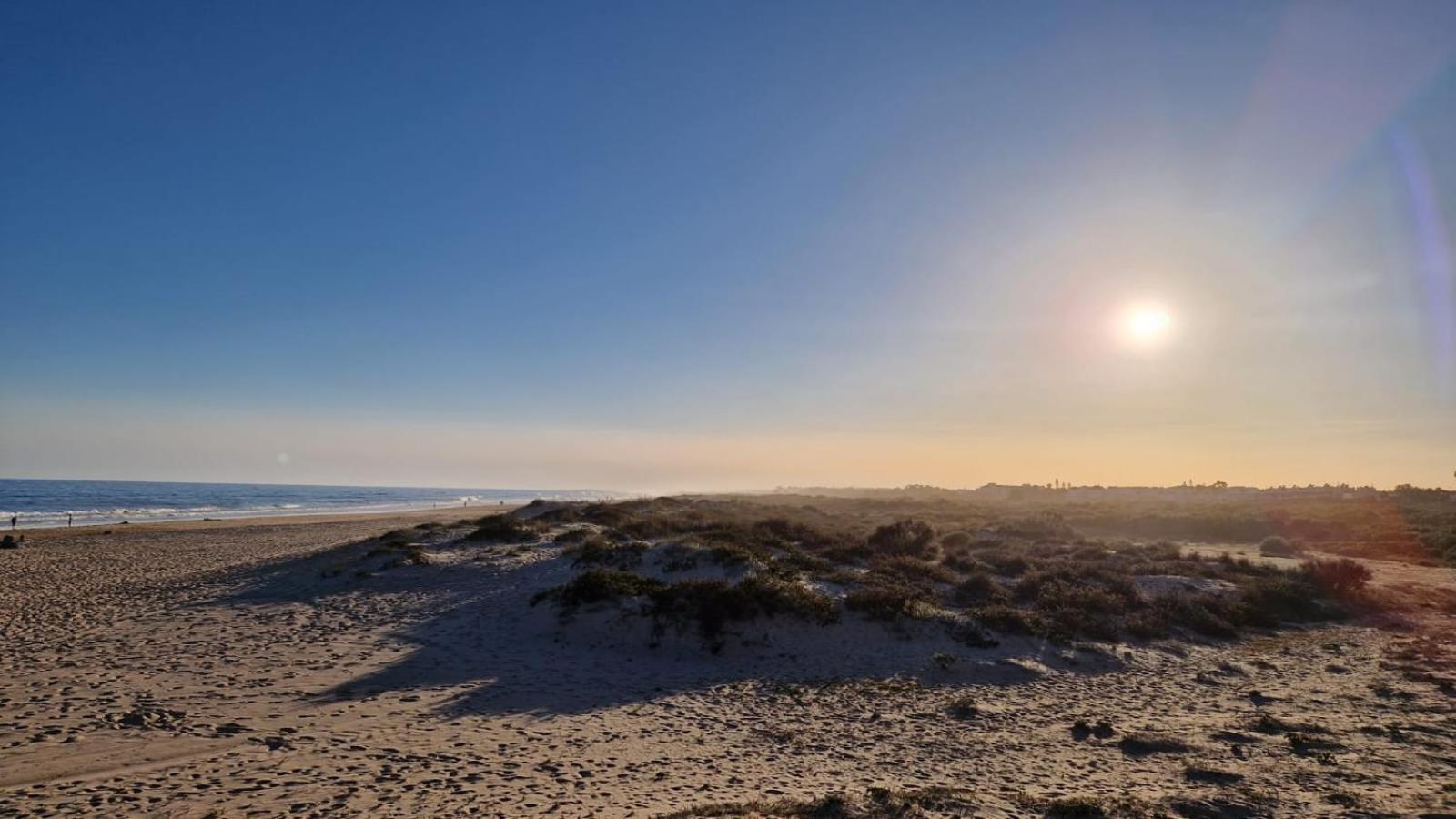 Photo 83