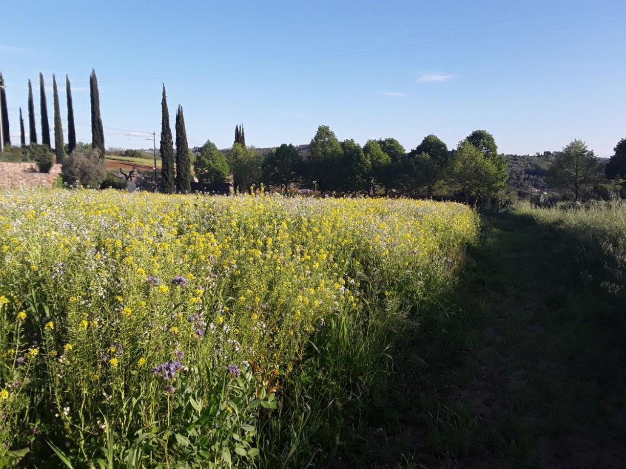 Agriturismo Fattoria di Malavolta