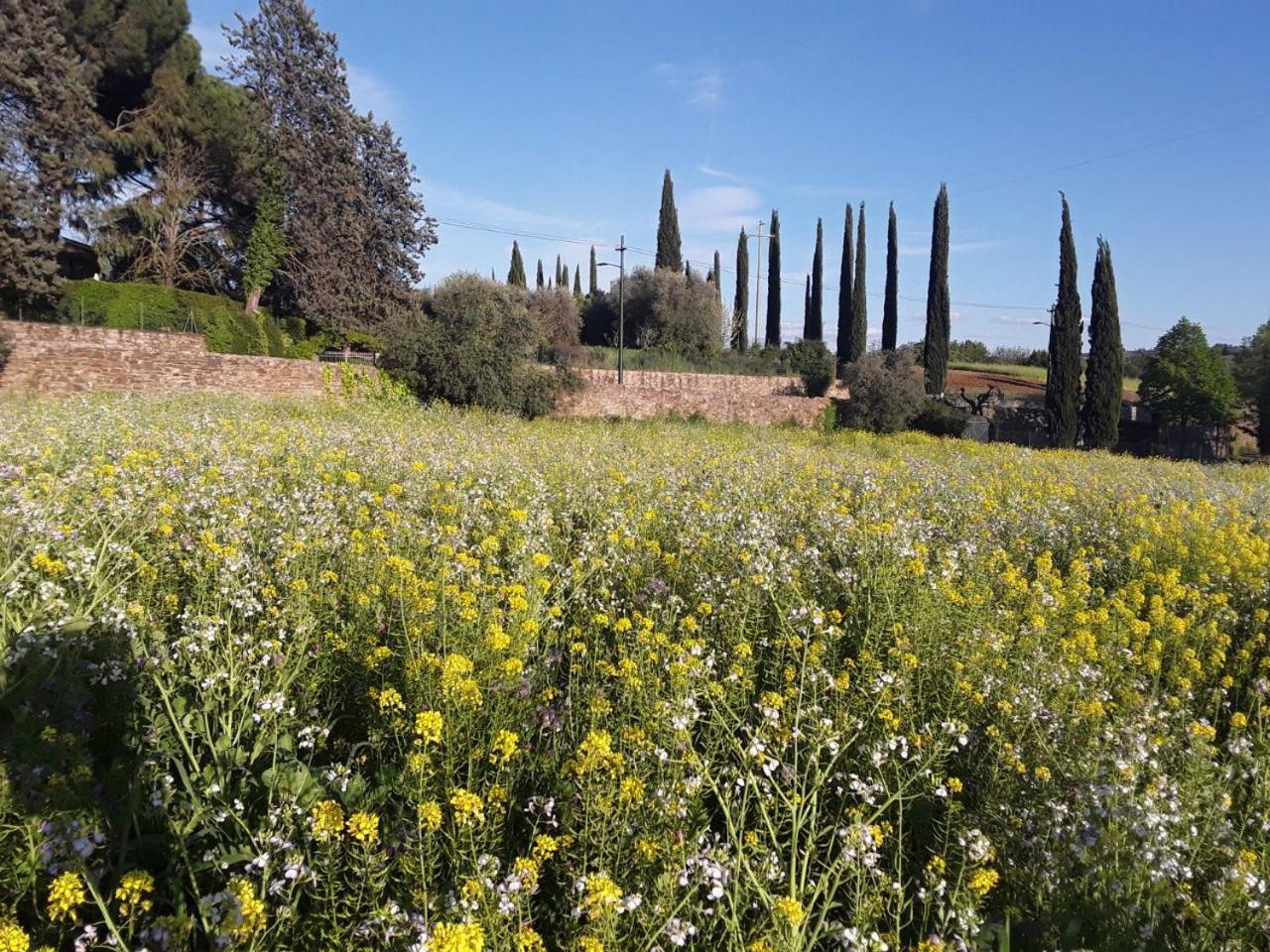 Agriturismo Fattoria di Malavolta