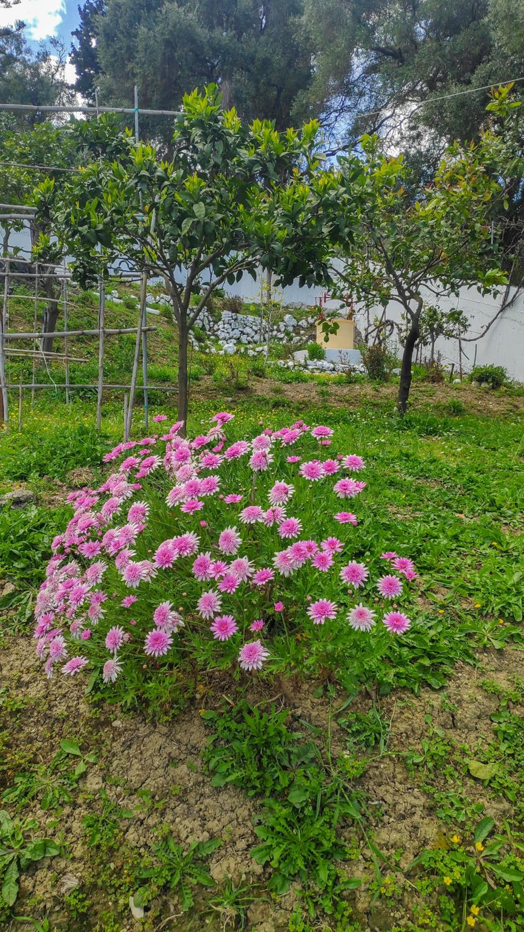Photo 29