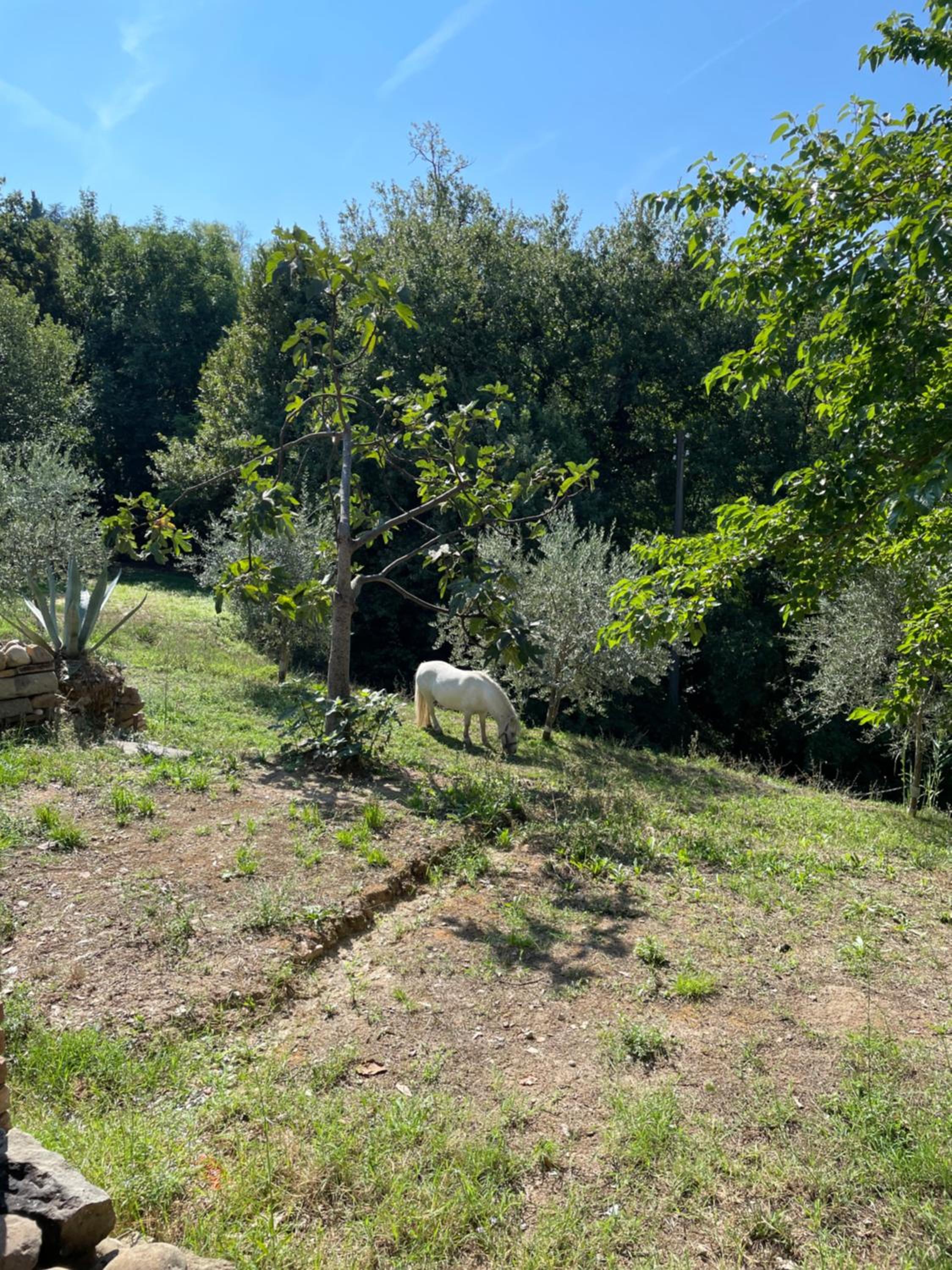 B&B Alloro view 4