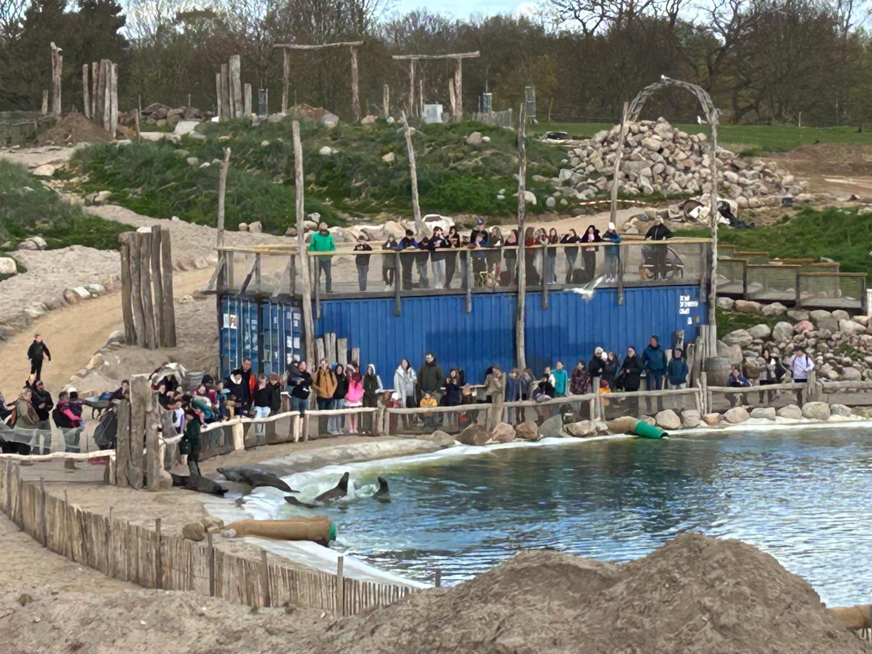 Küstenbude Seehundblick