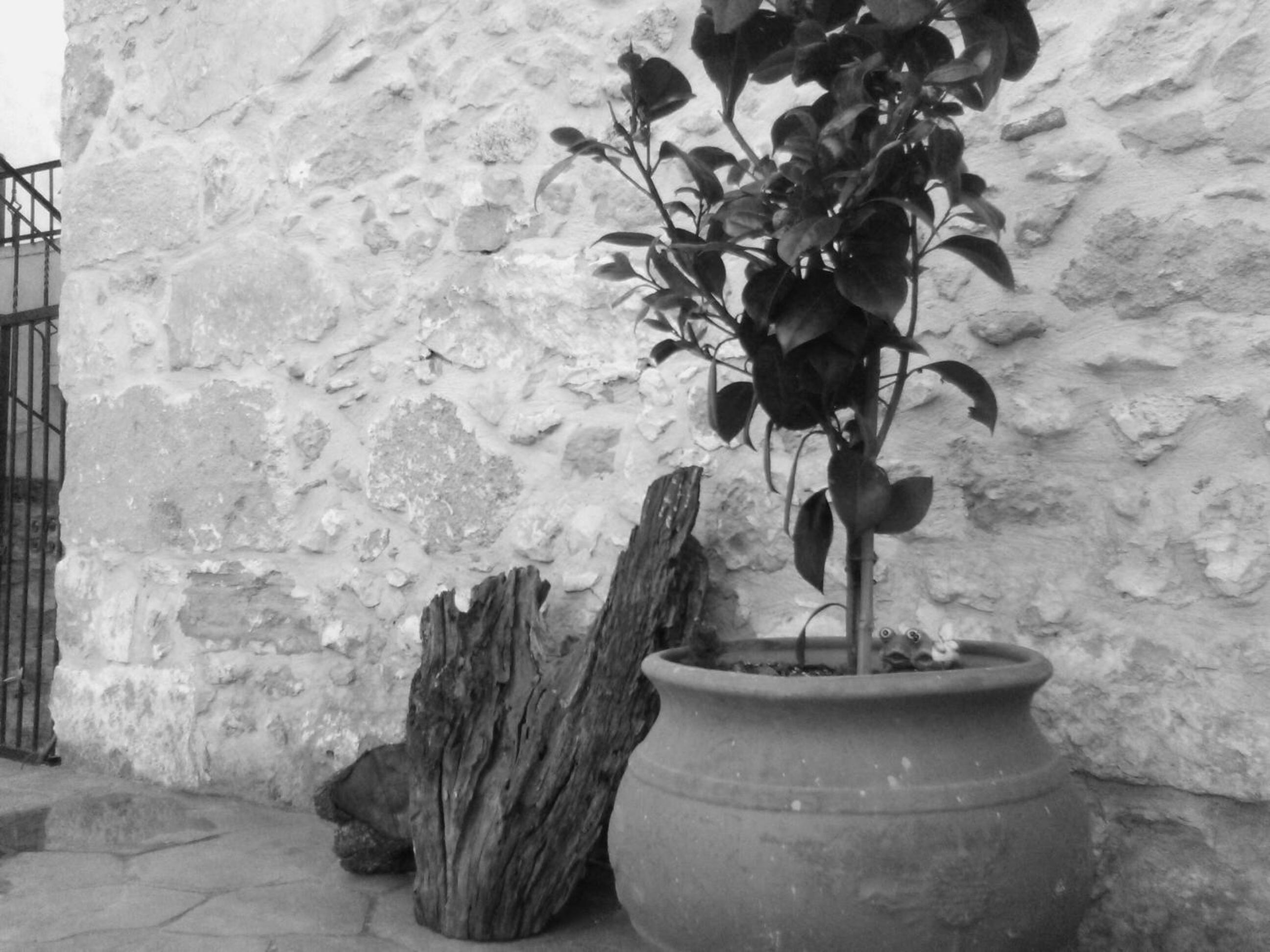 Photo 33
