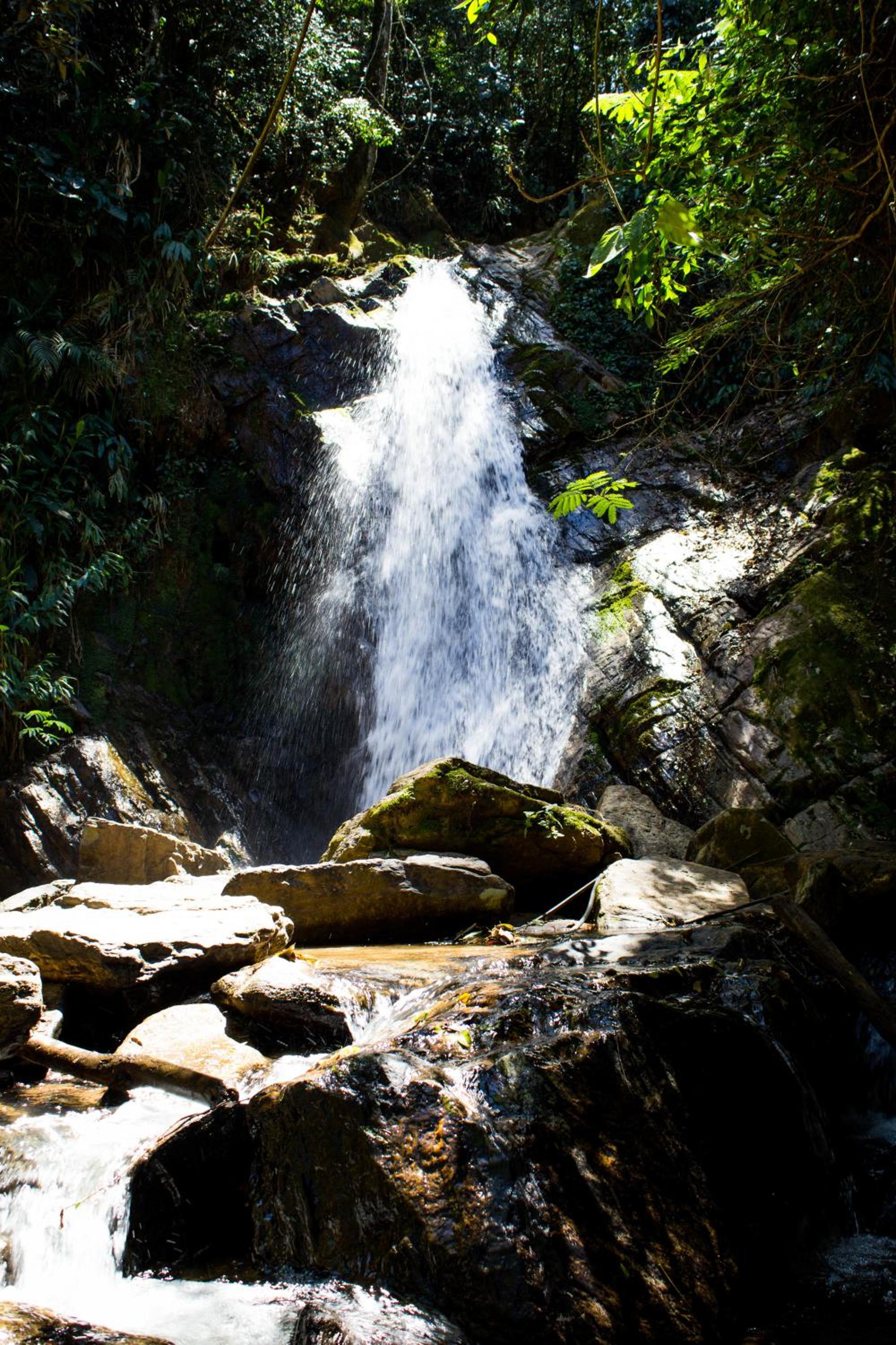Photo 8