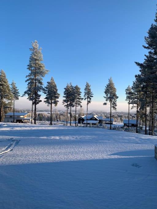 Vackert fjällhus med underbar utsikt view 2