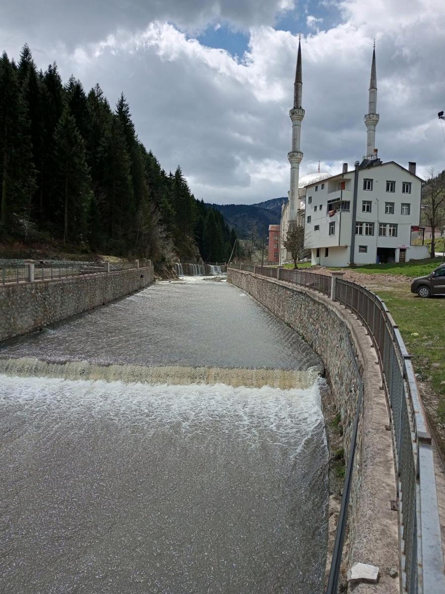 Photo 39