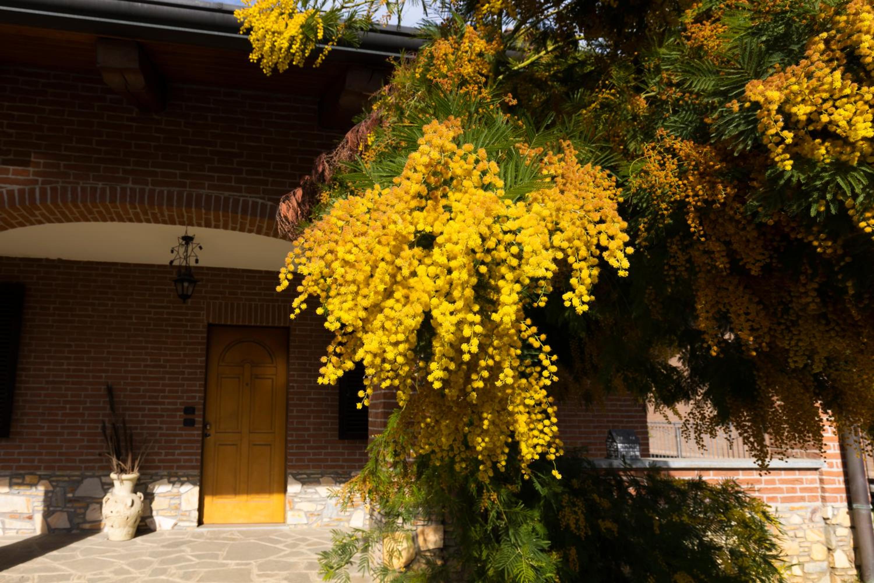 Villa Anna