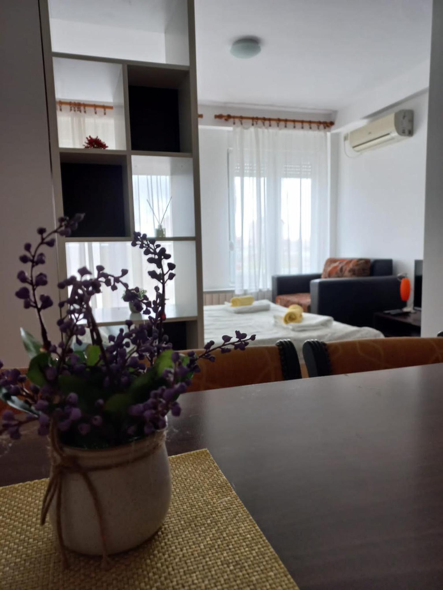 APARTMAN RODA view 3