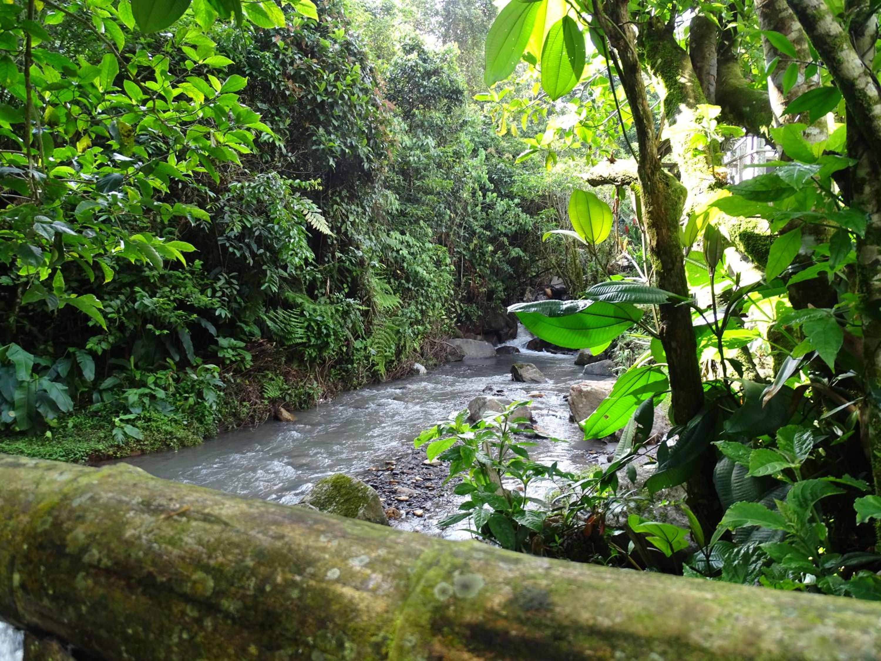 Agradable casa entera de campo para descansar